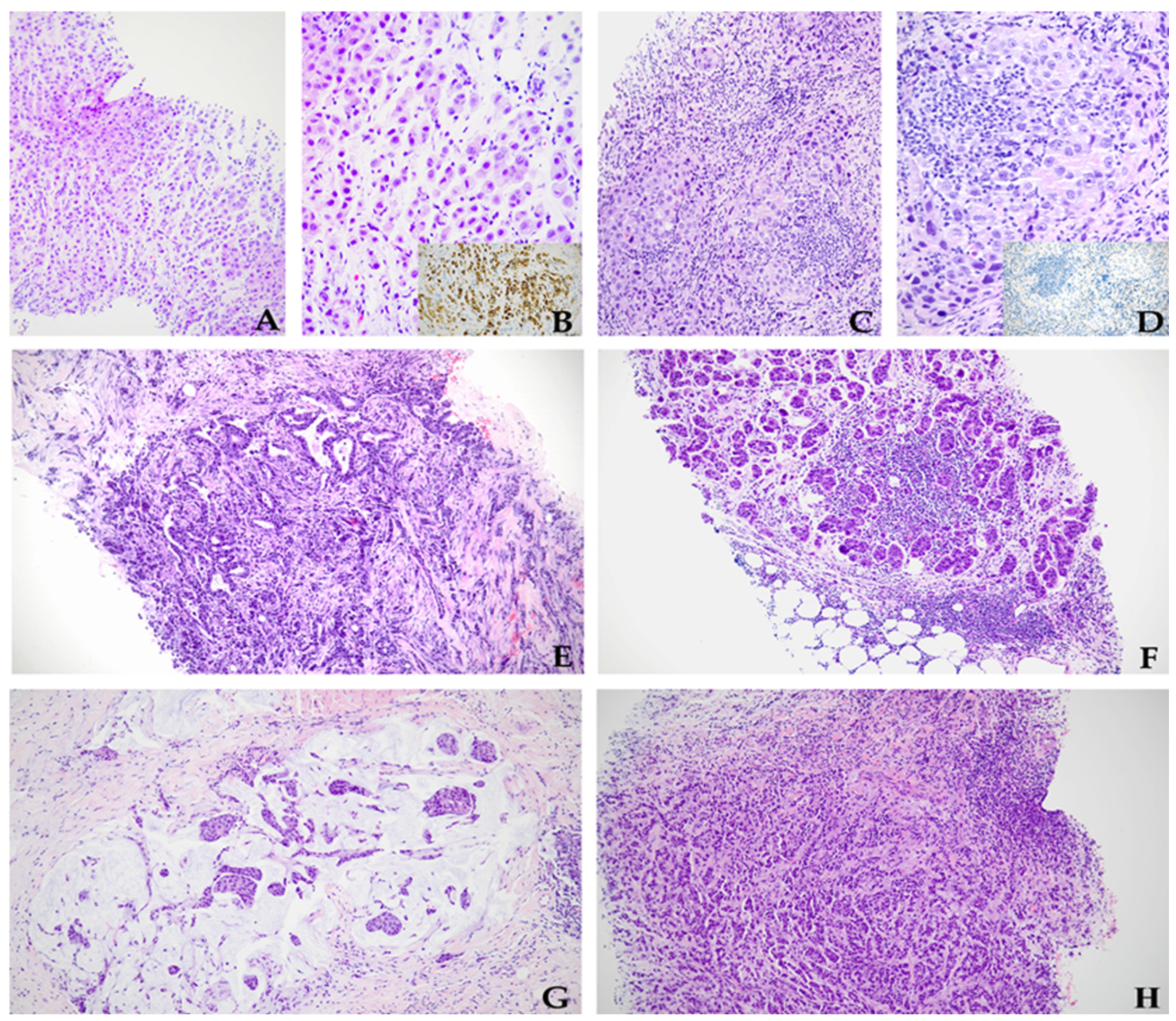 Diagnostics 14 00259 g001