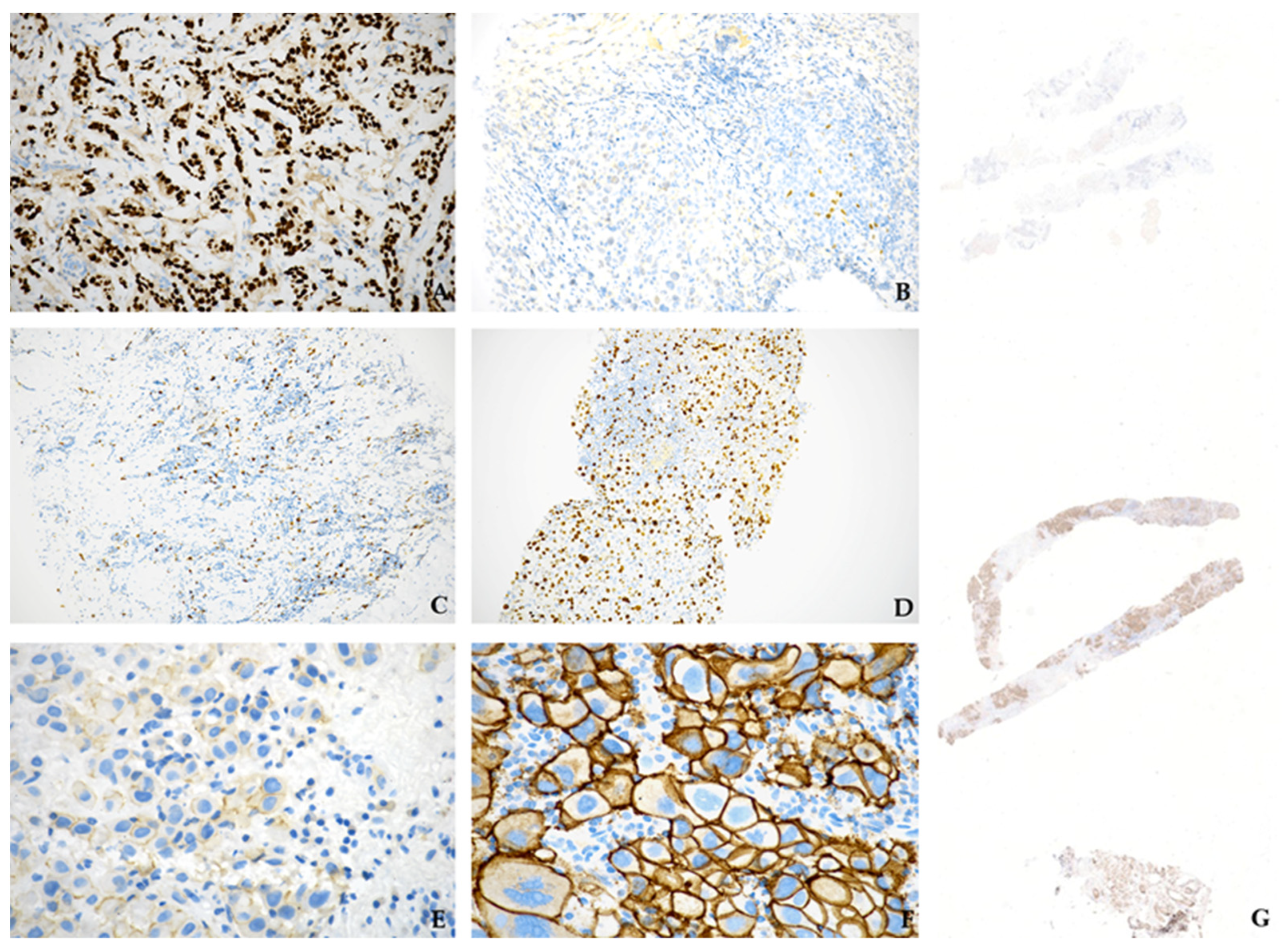 Diagnostics 14 00259 g002