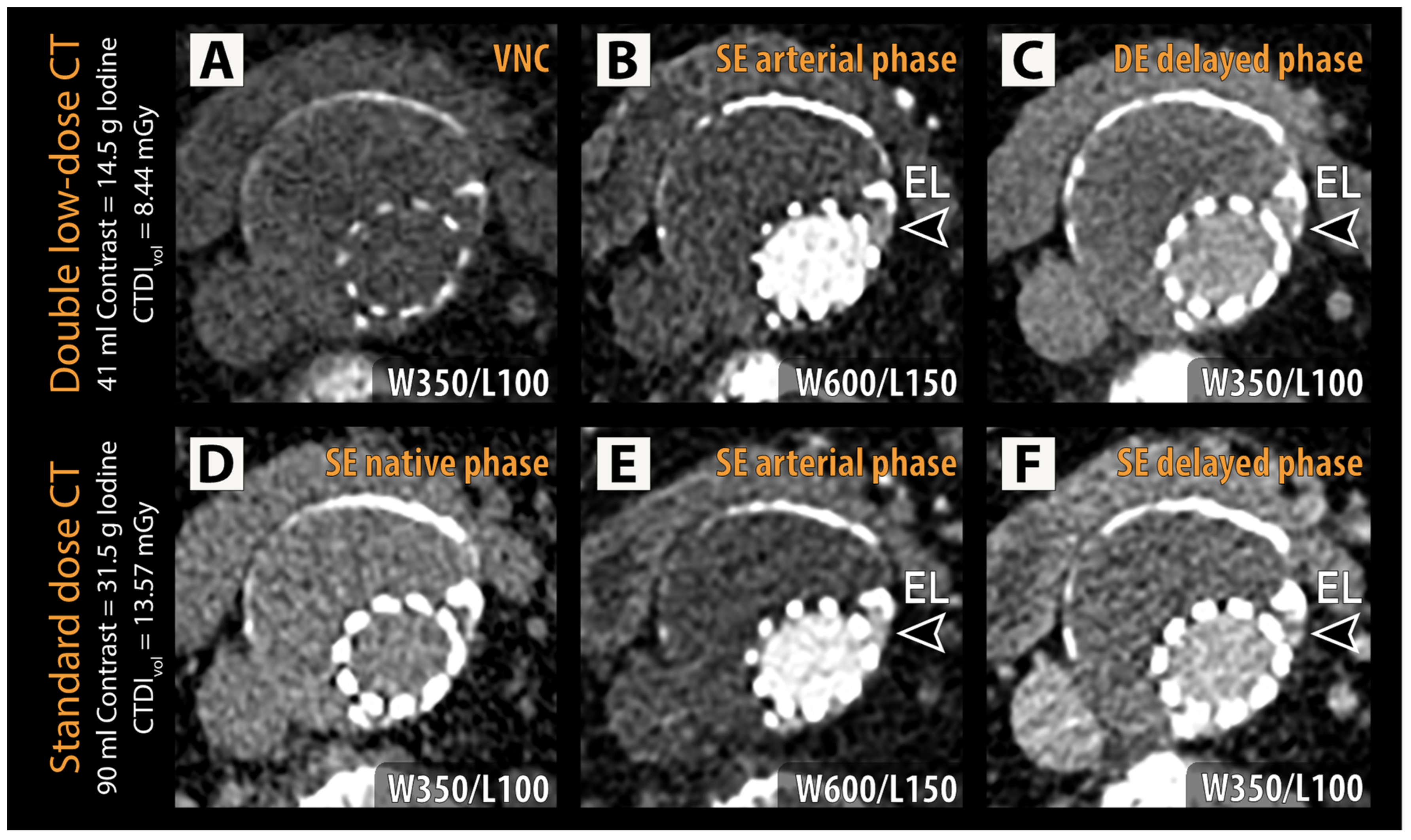 Diagnostics 14 00280 g002