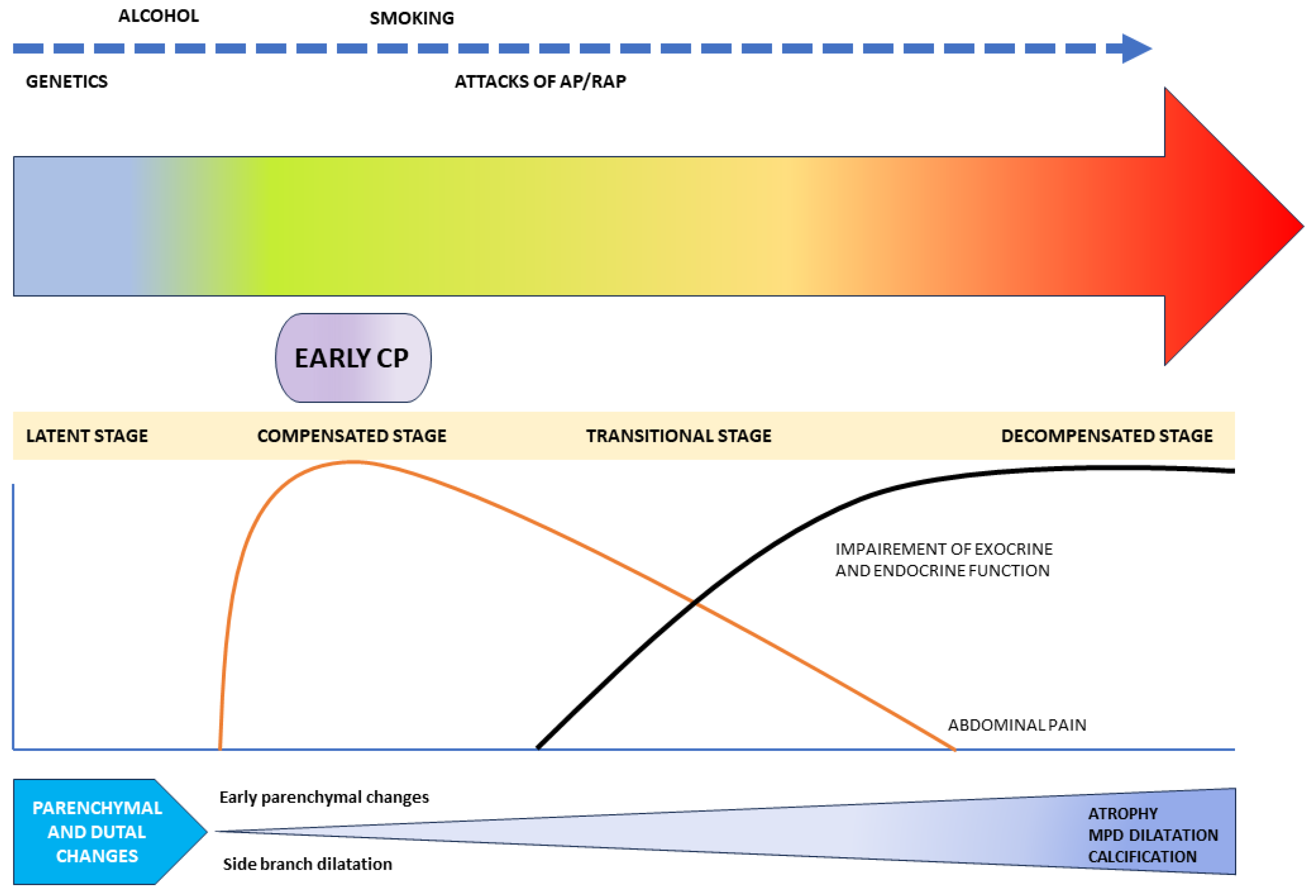 Diagnostics 14 00298 g001