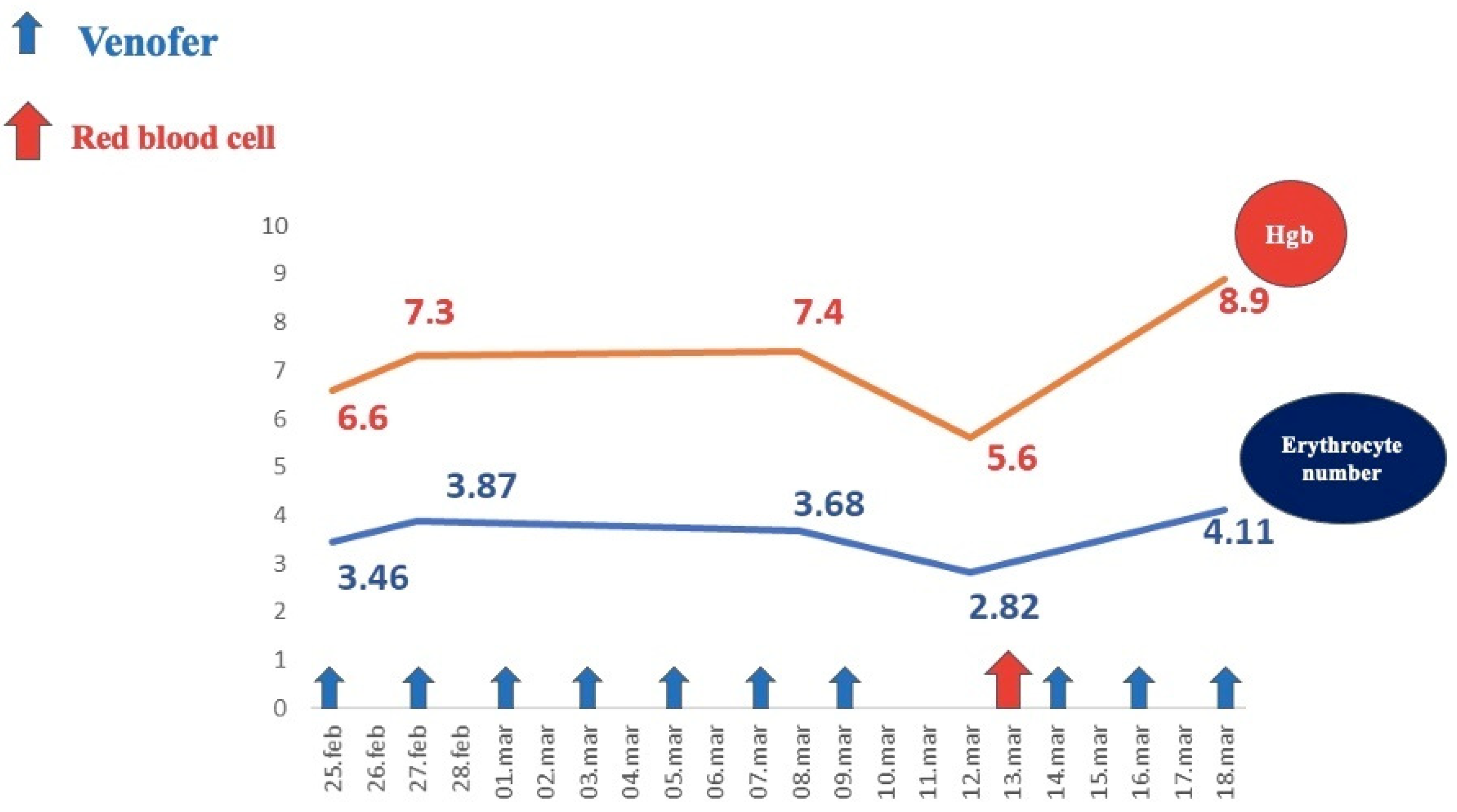Diagnostics 14 00310 g005