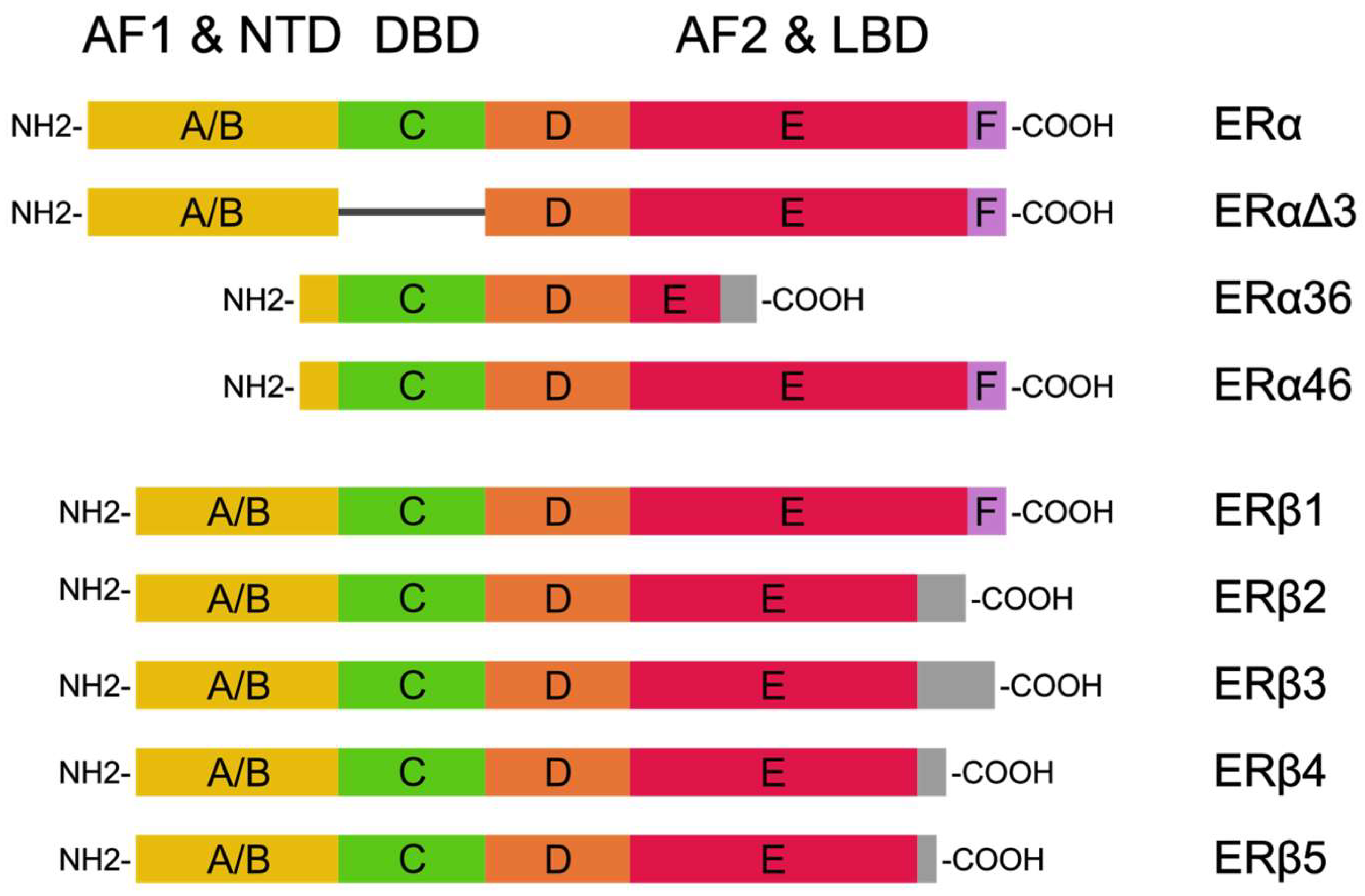 Diagnostics 14 00322 g001