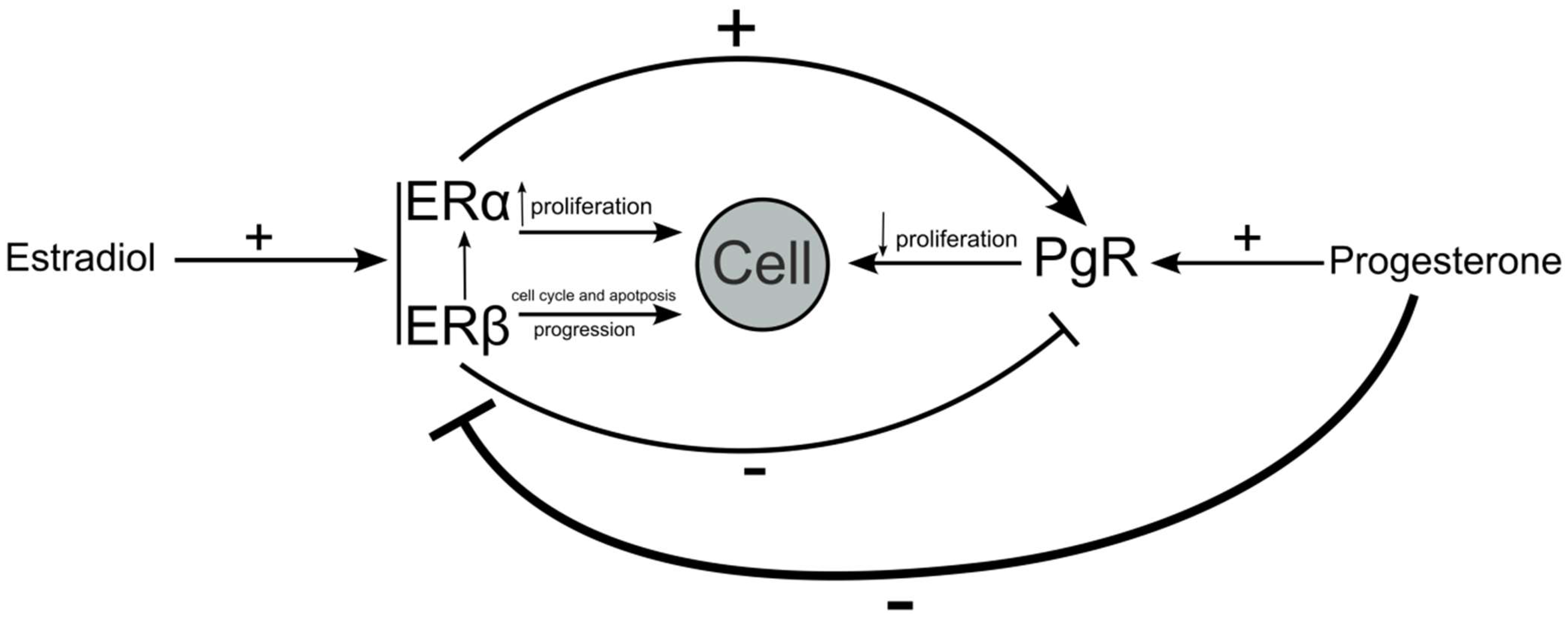 Diagnostics 14 00322 g004