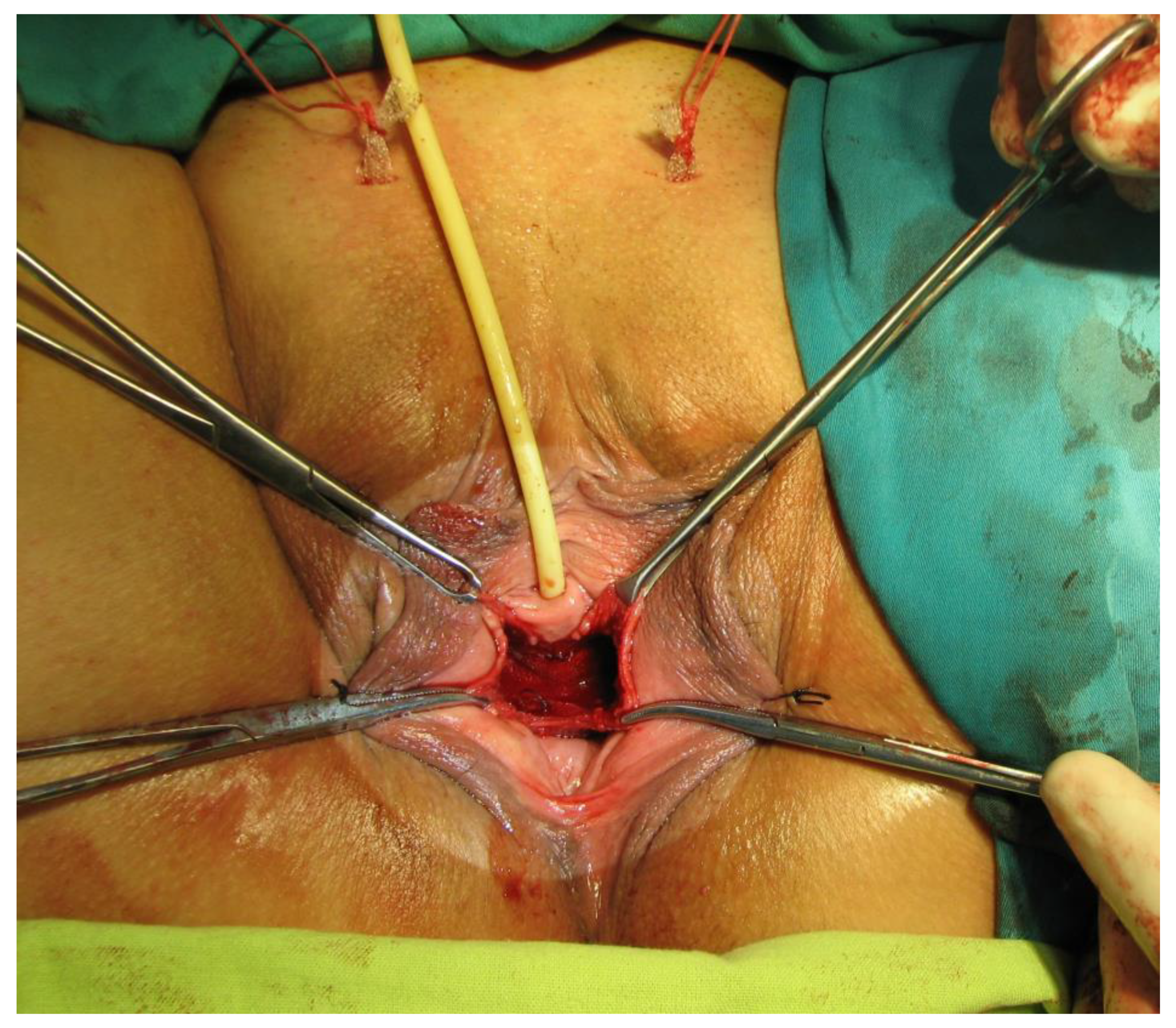 Diagnostics 14 00323 g003