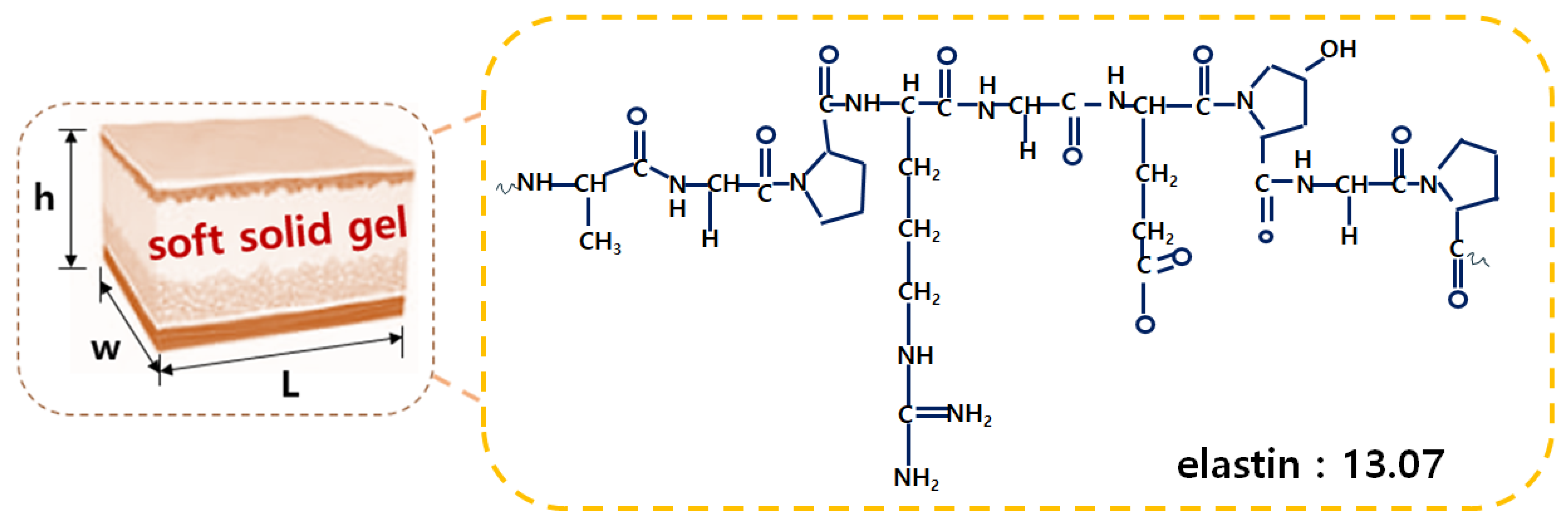 Diagnostics 14 00335 g003