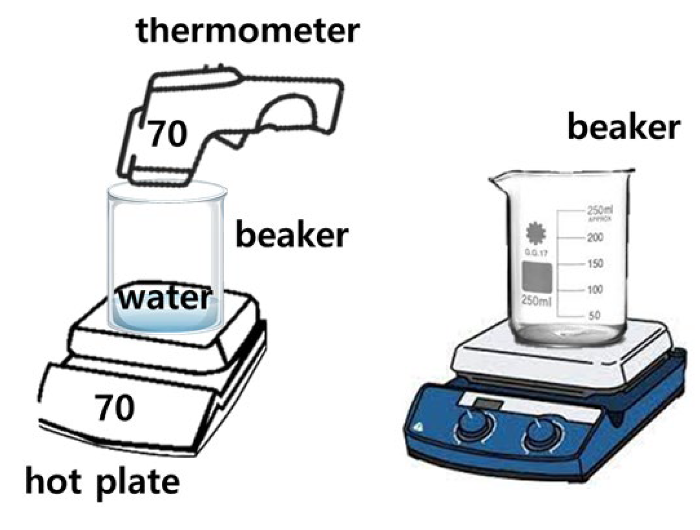 Diagnostics 14 00335 g006