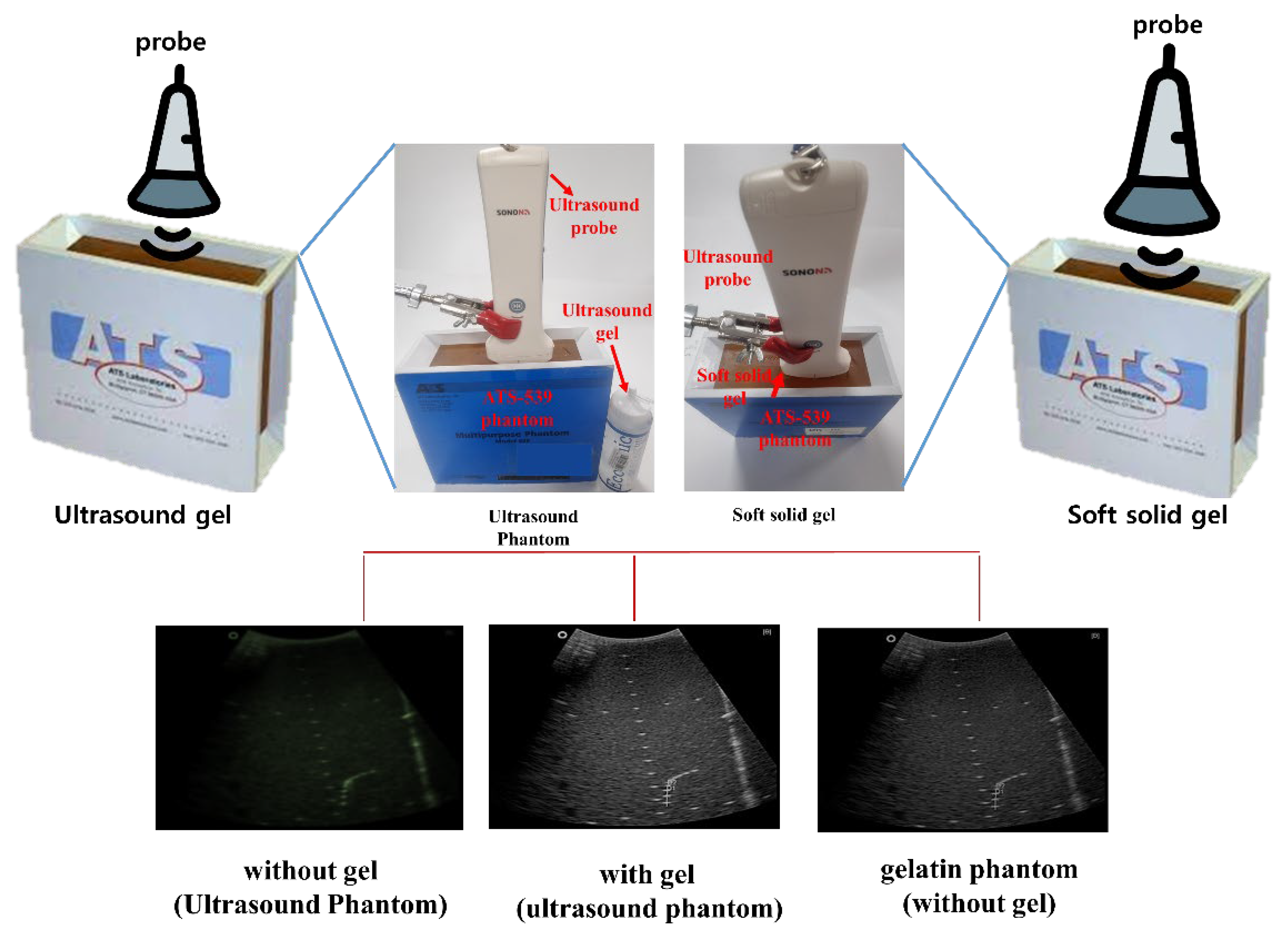 Diagnostics 14 00335 g007
