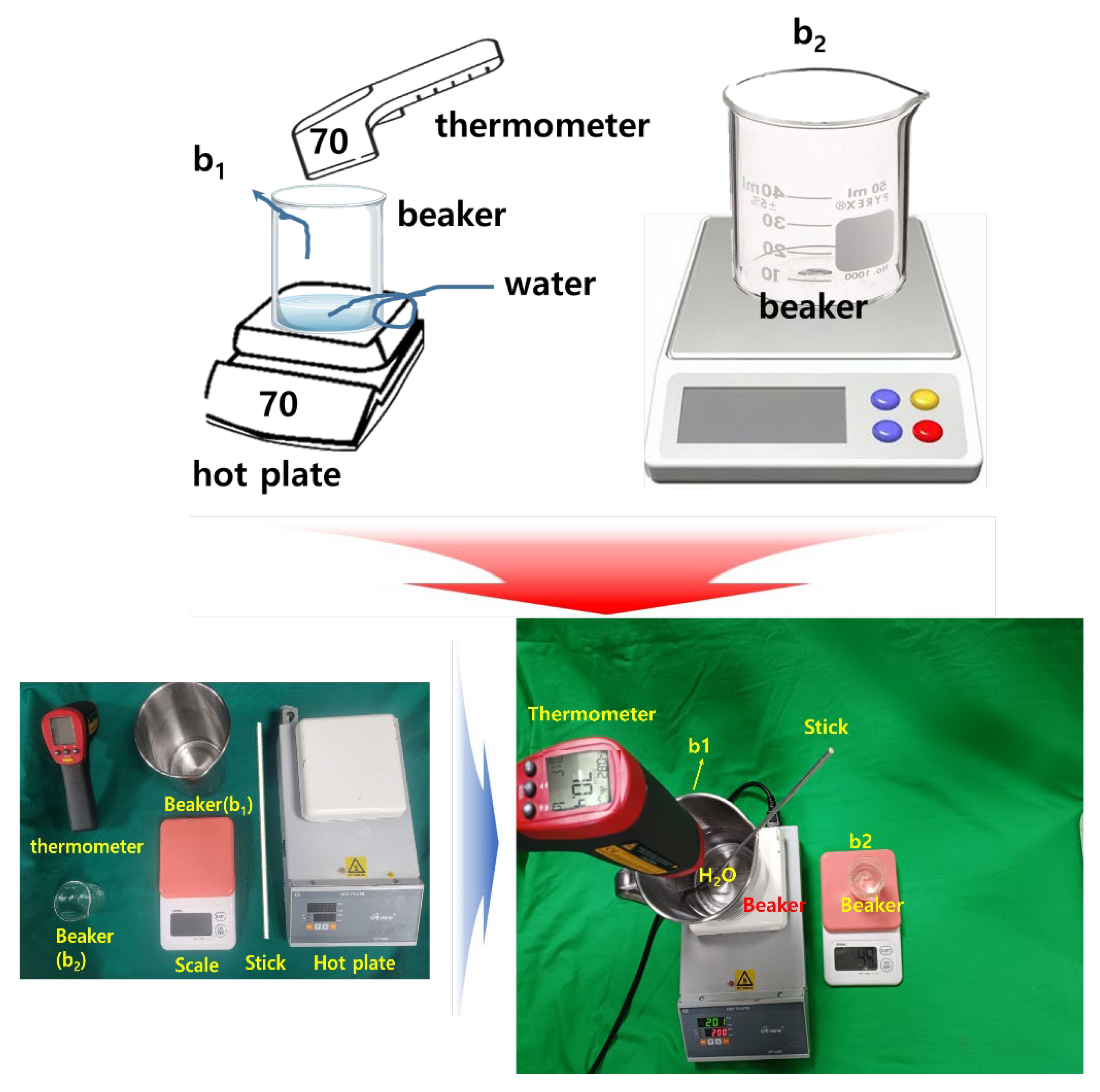 Diagnostics 14 00335 g008