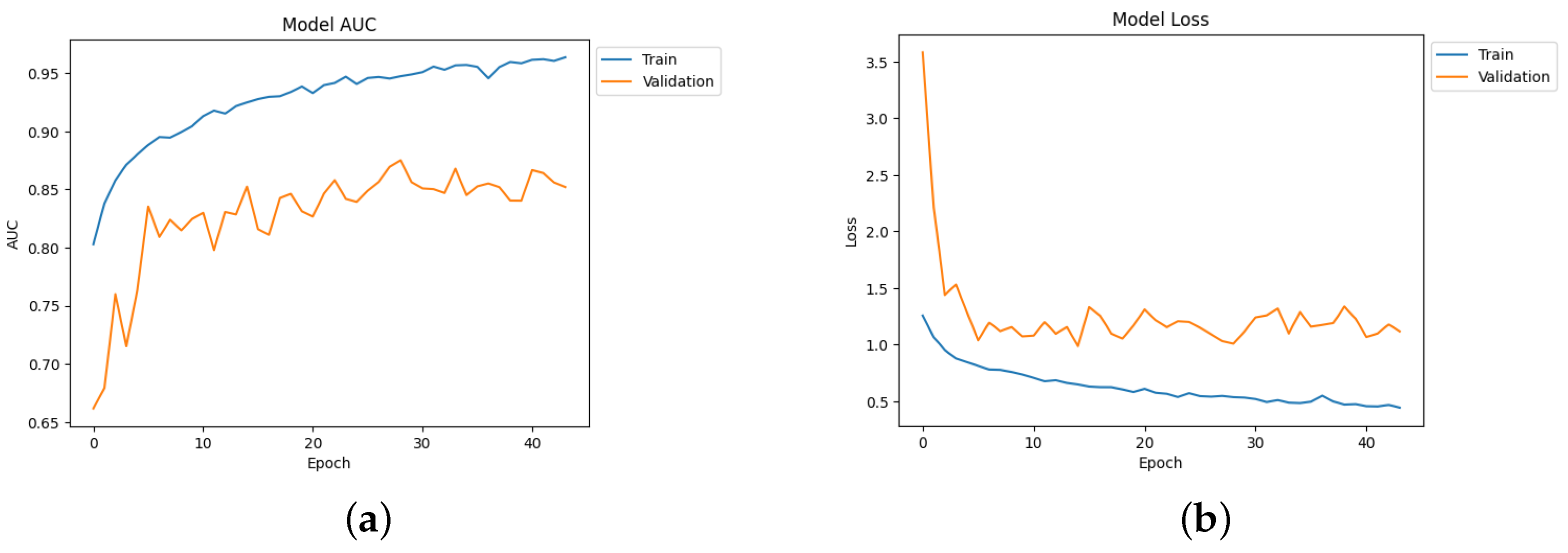 Diagnostics 14 00345 g017