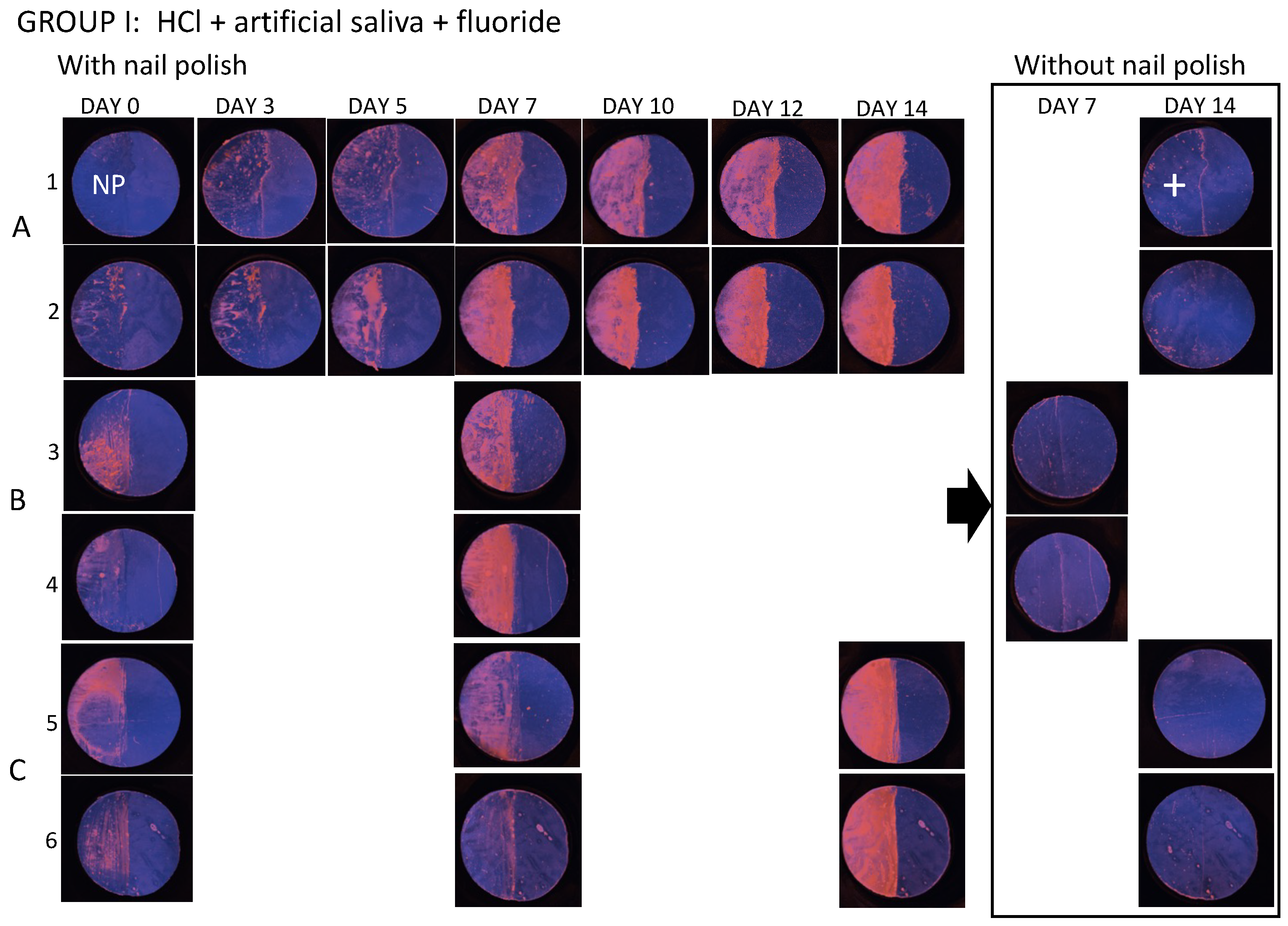 Diagnostics 14 00367 g0a1