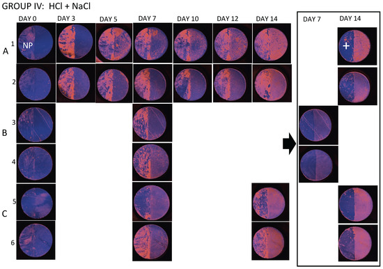 Diagnostics 14 00367 g0a4