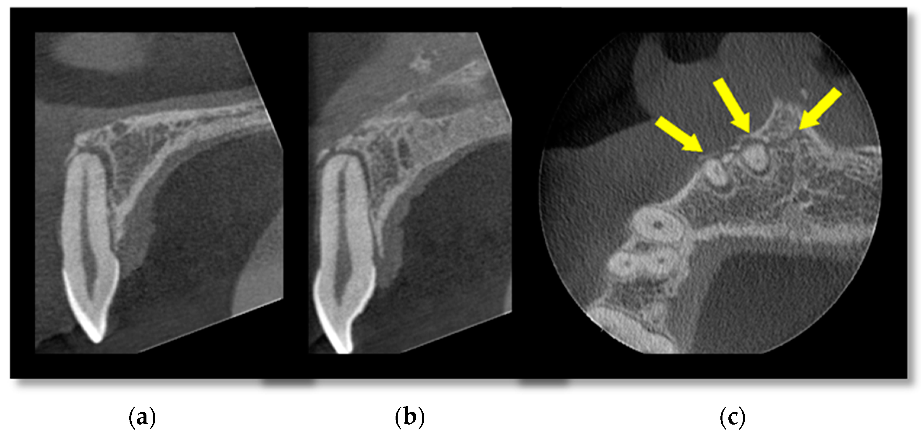 Diagnostics 14 00373 g001 Diagnostics 14 00373 g001