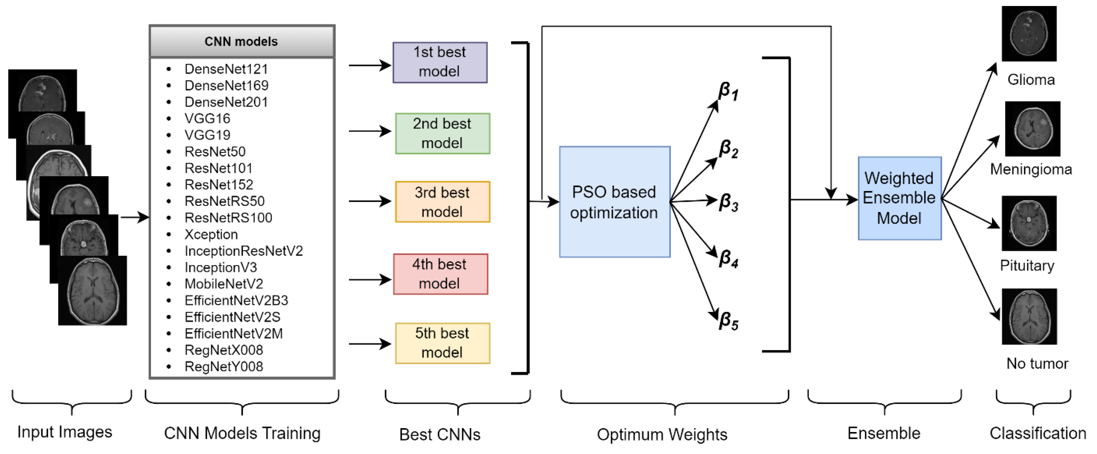 Diagnostics 14 00383 g003