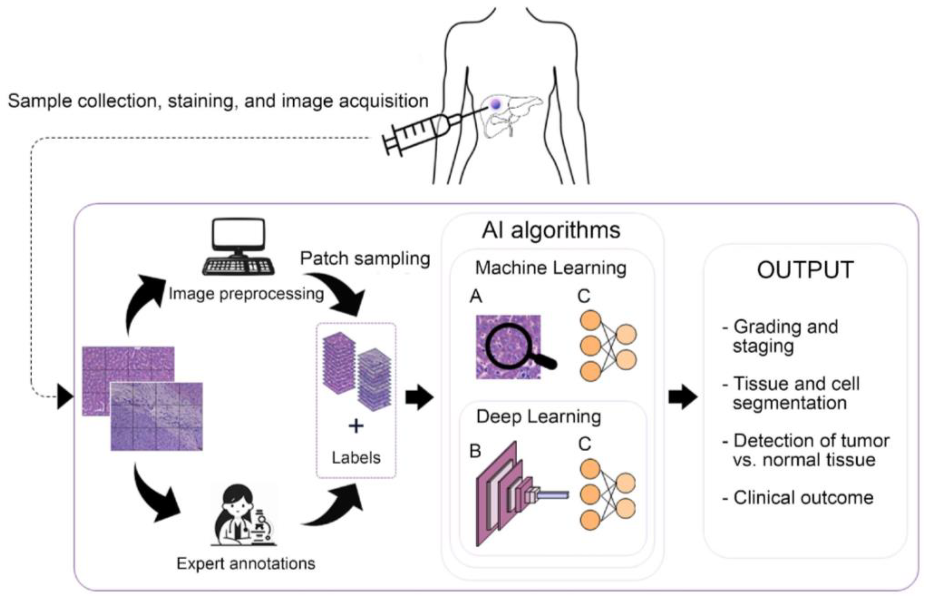 Diagnostics 14 00388 g001