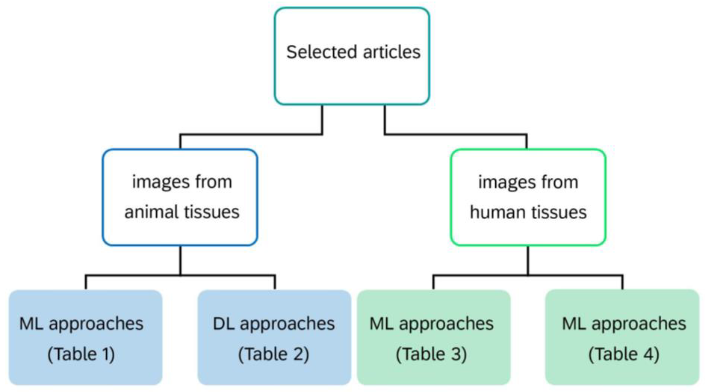 Diagnostics 14 00388 g003
