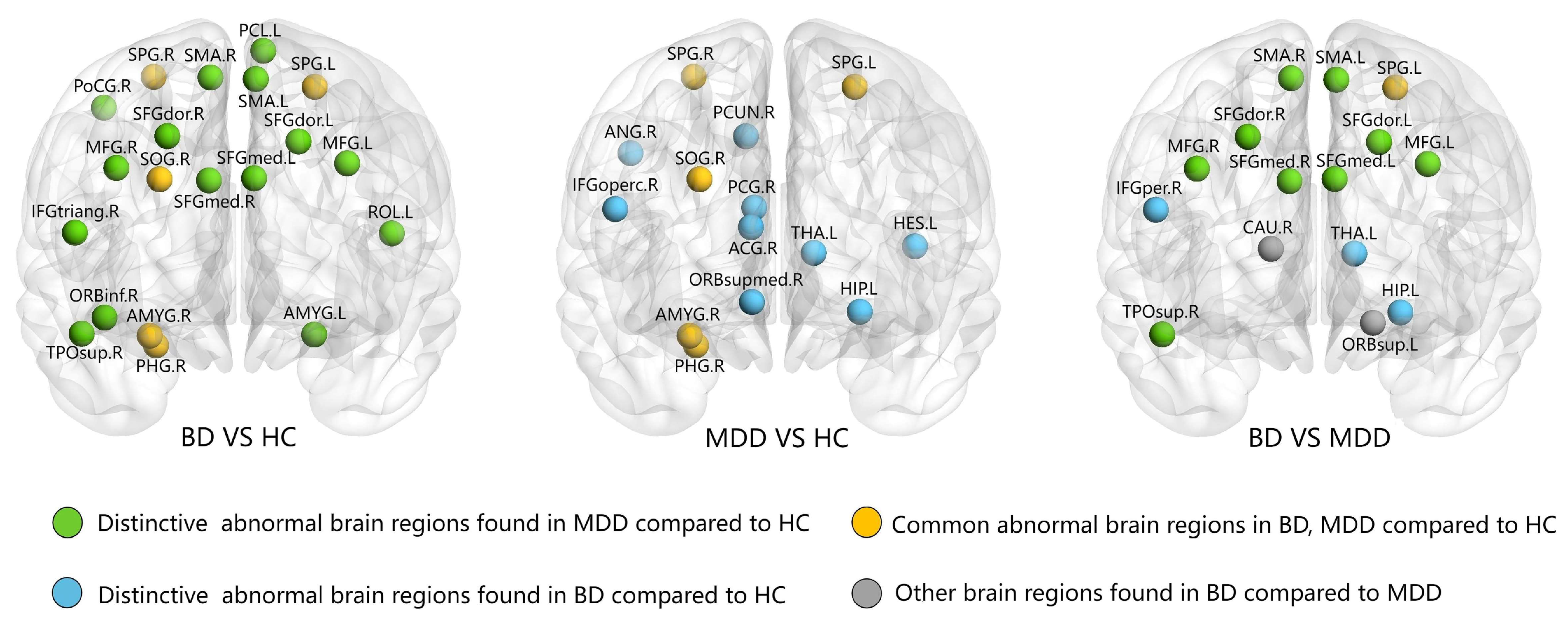 Diagnostics 14 00389 g002