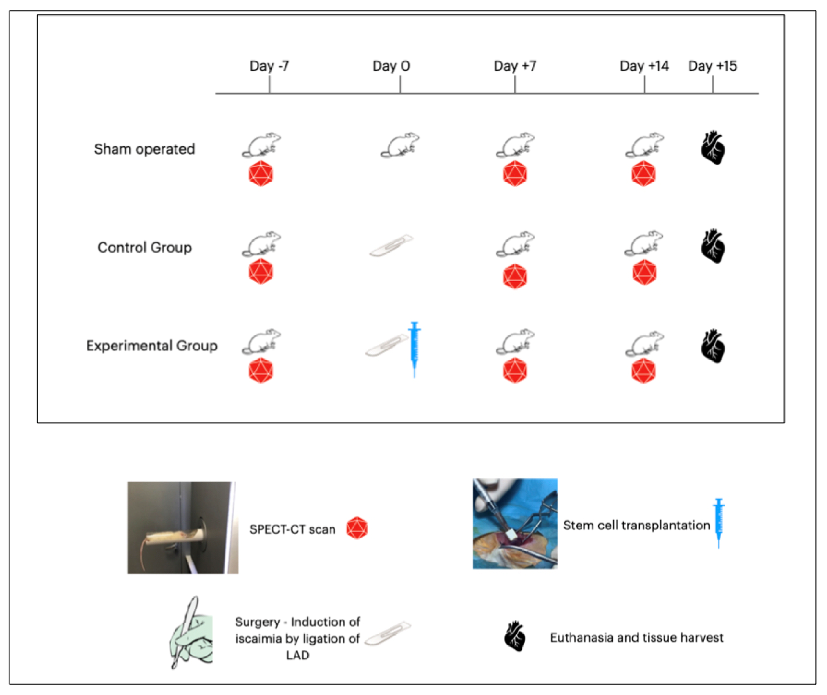 Diagnostics 14 00401 g001