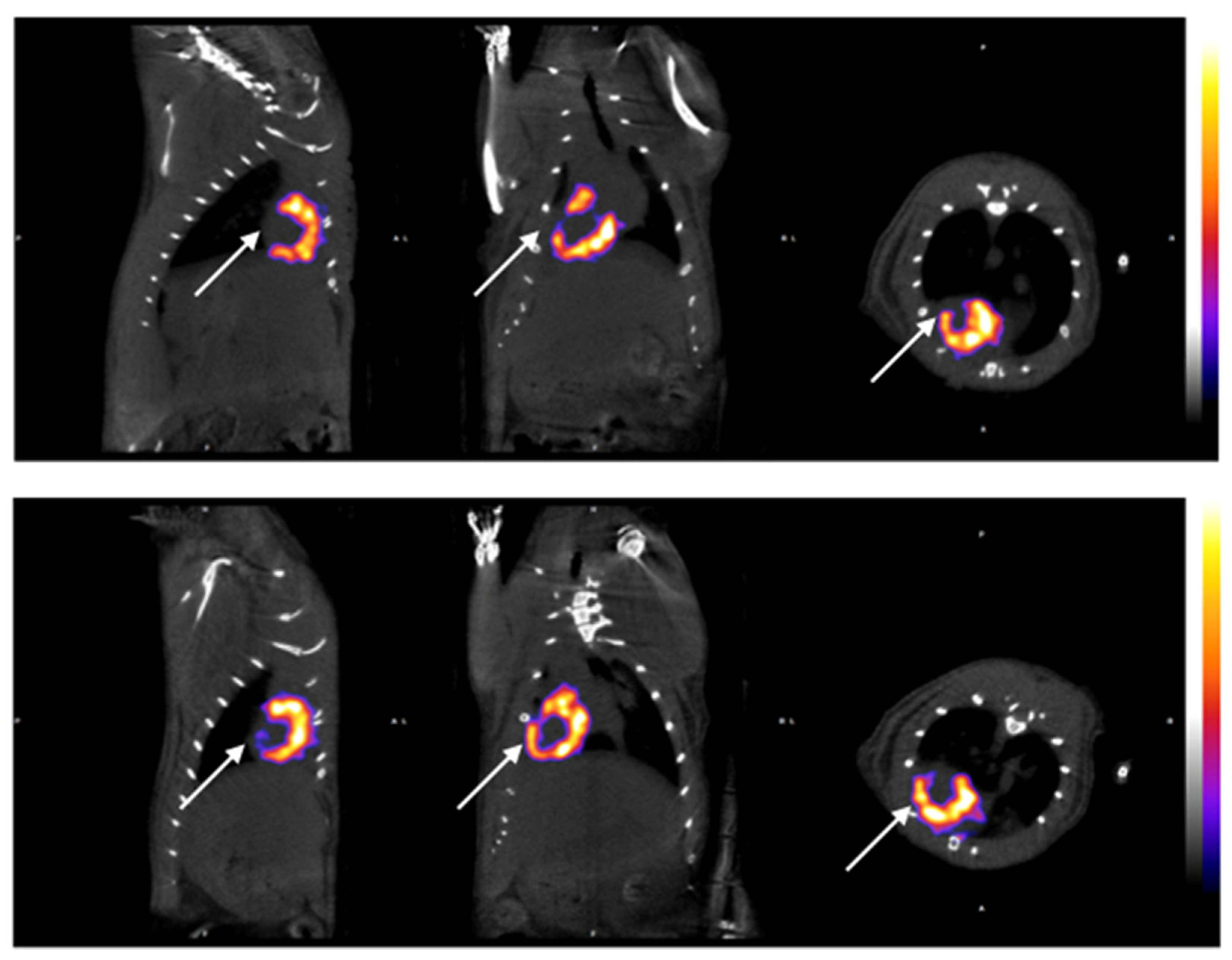 Diagnostics 14 00401 g004