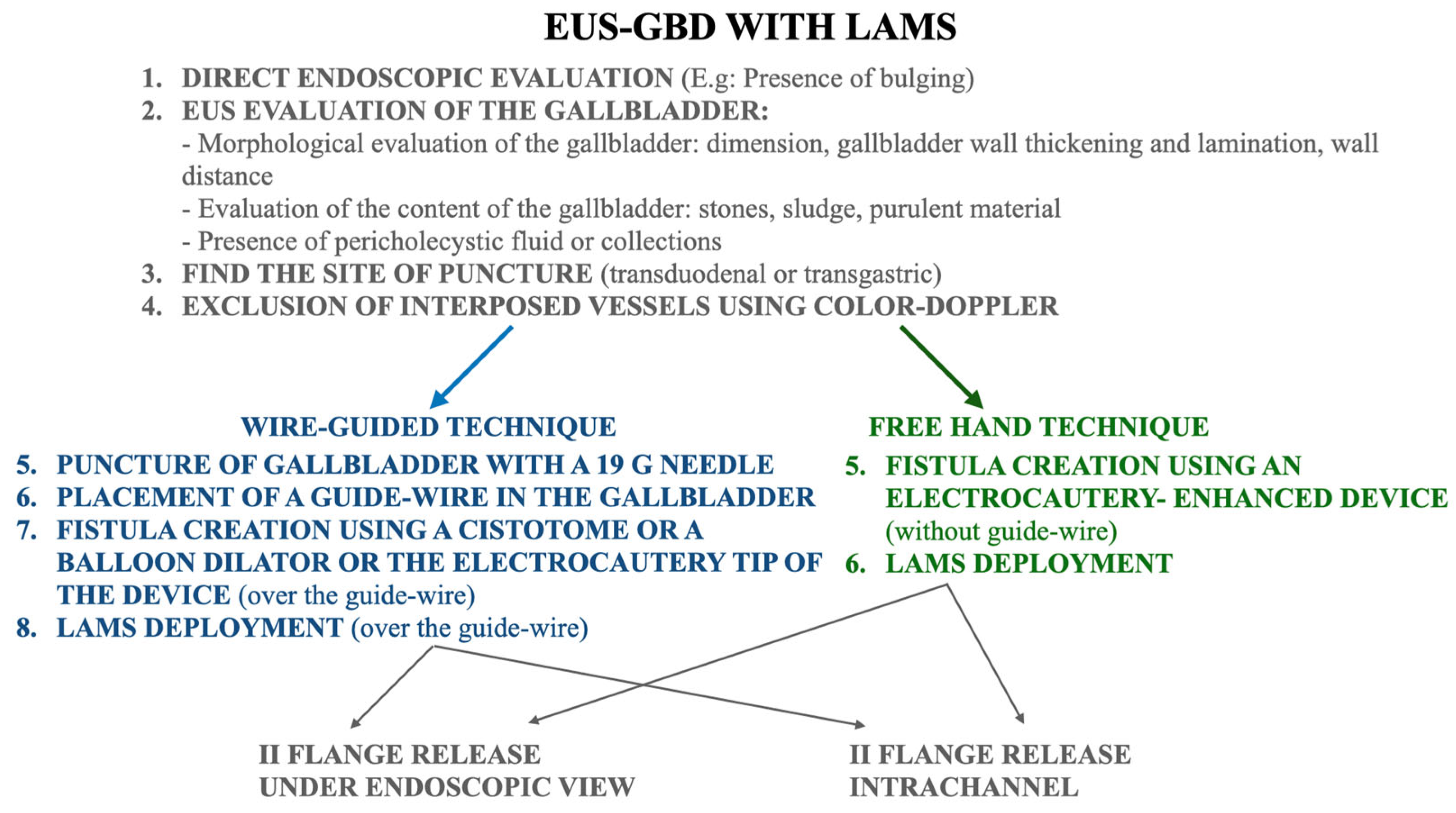 Diagnostics 14 00413 g002