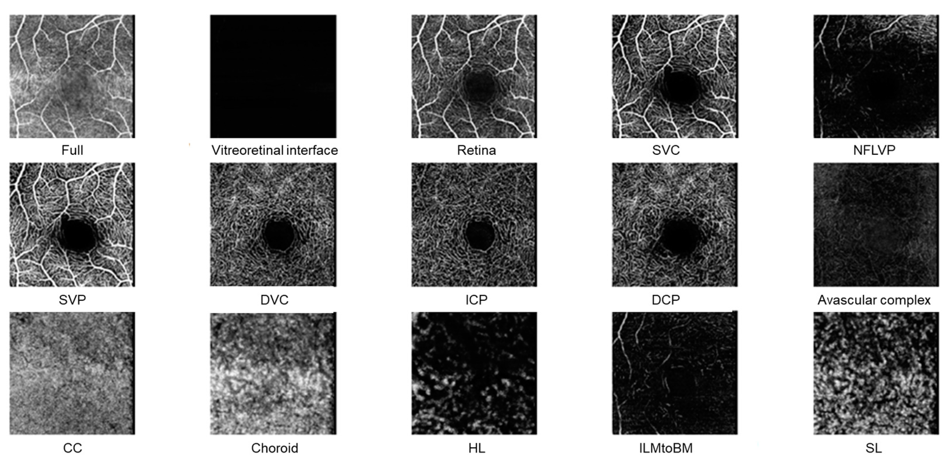 Diagnostics 14 00431 g002