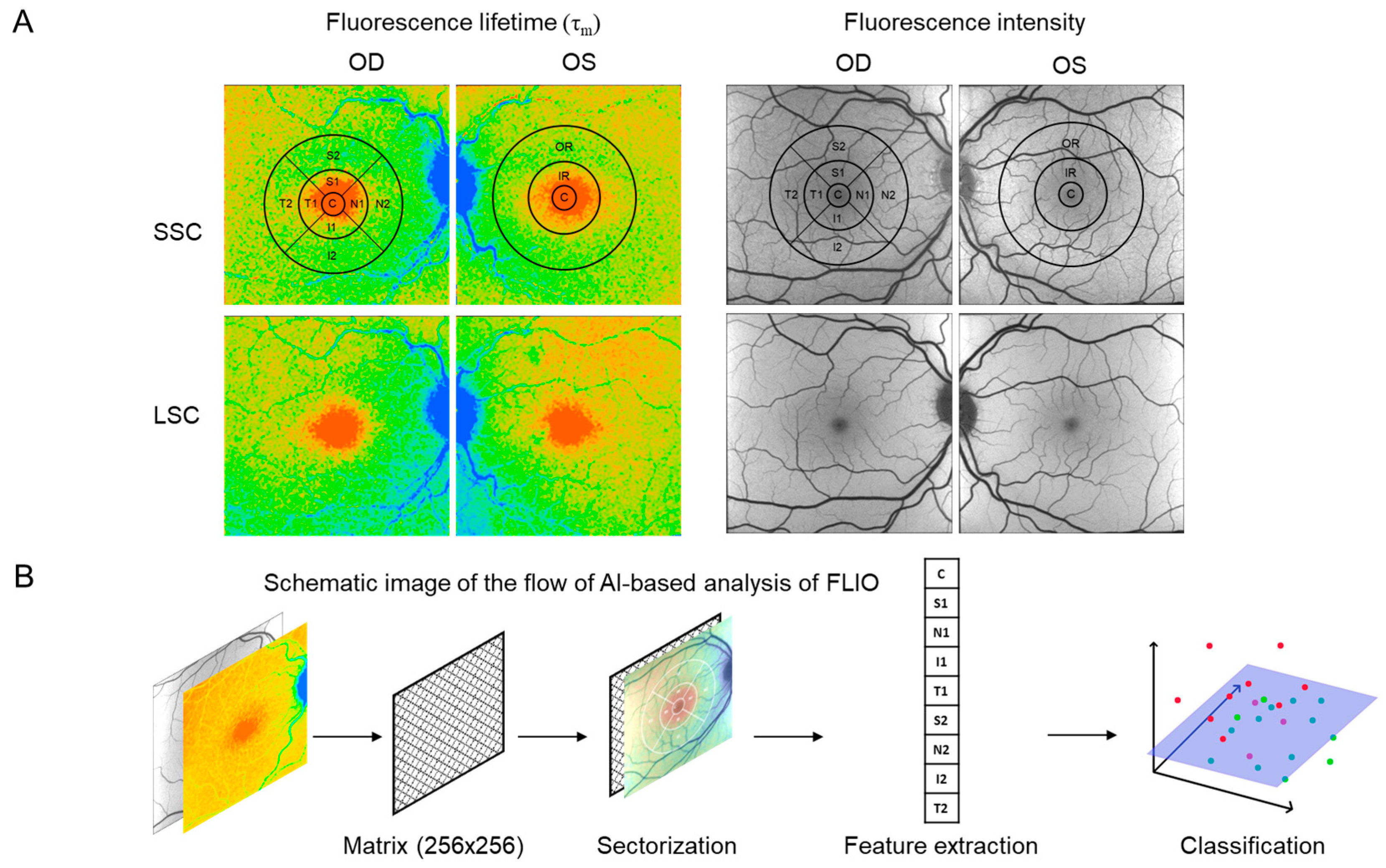 Diagnostics 14 00431 g003