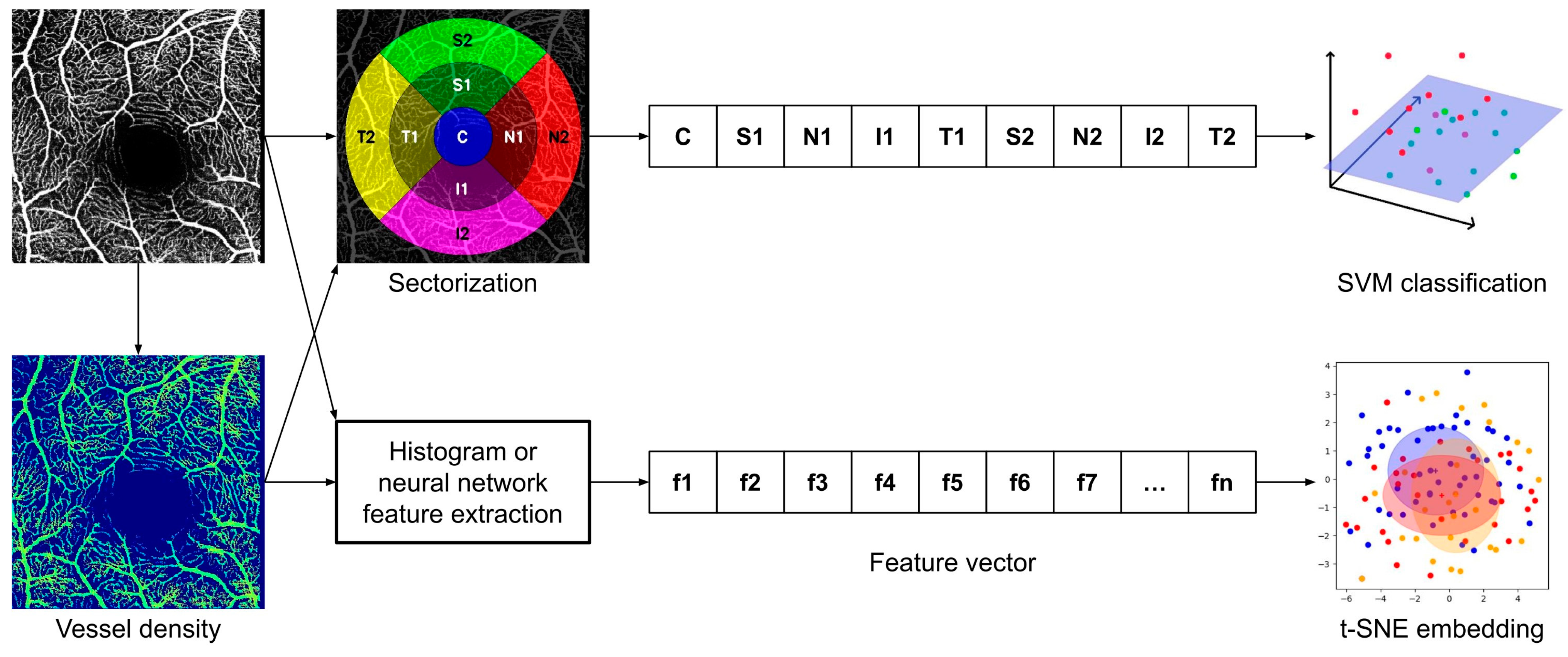 Diagnostics 14 00431 g005