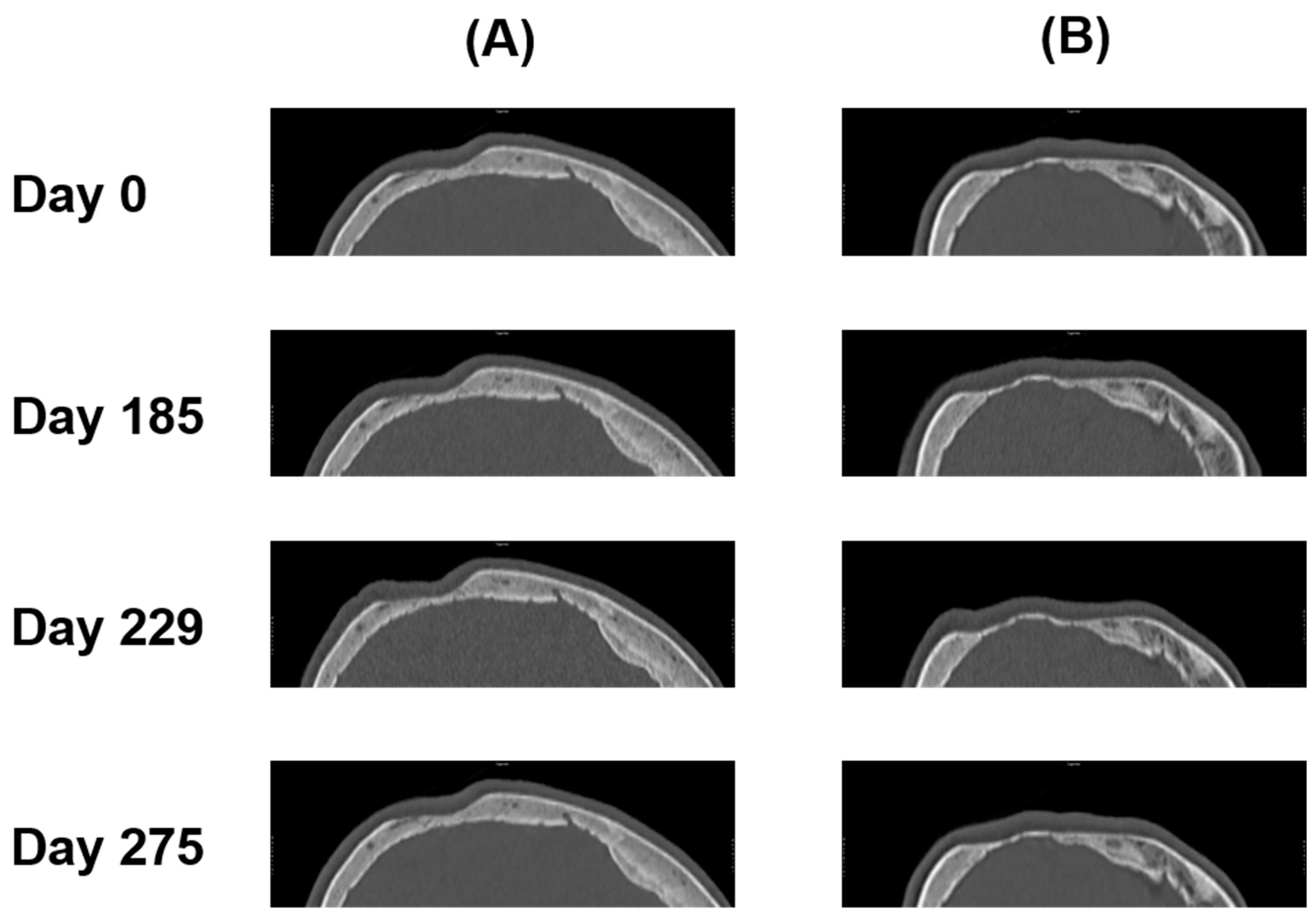 Diagnostics 14 00446 g006 Diagnostics 14 00446 g006