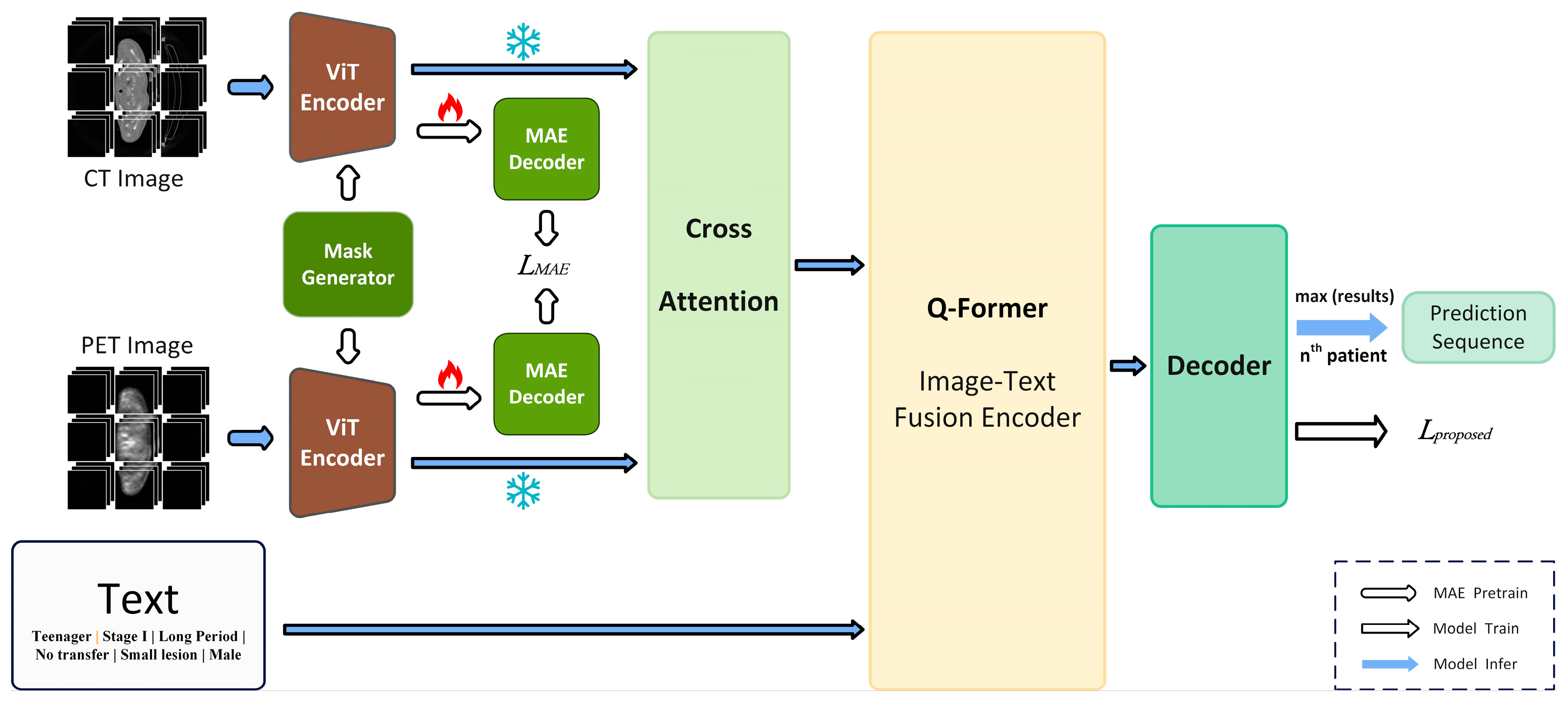 Diagnostics 14 00448 g001