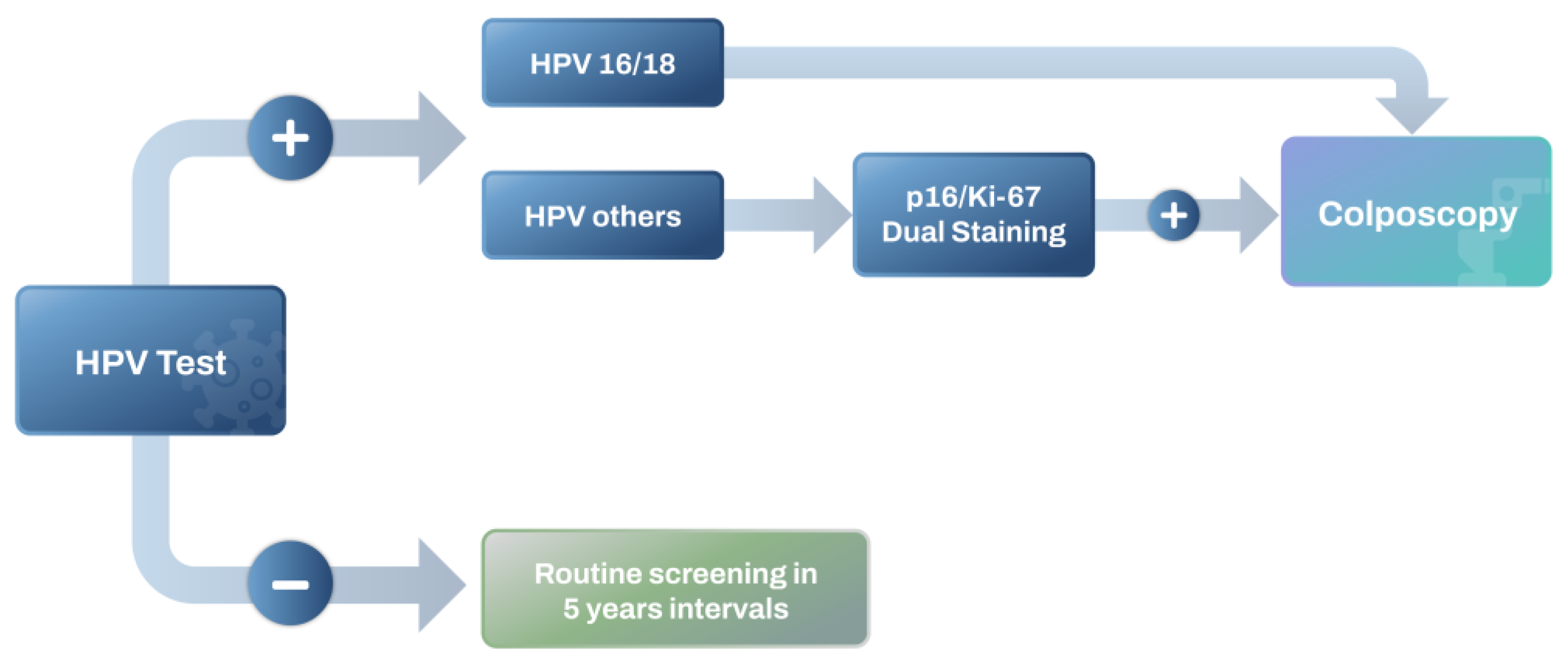 Diagnostics 14 00451 g001
