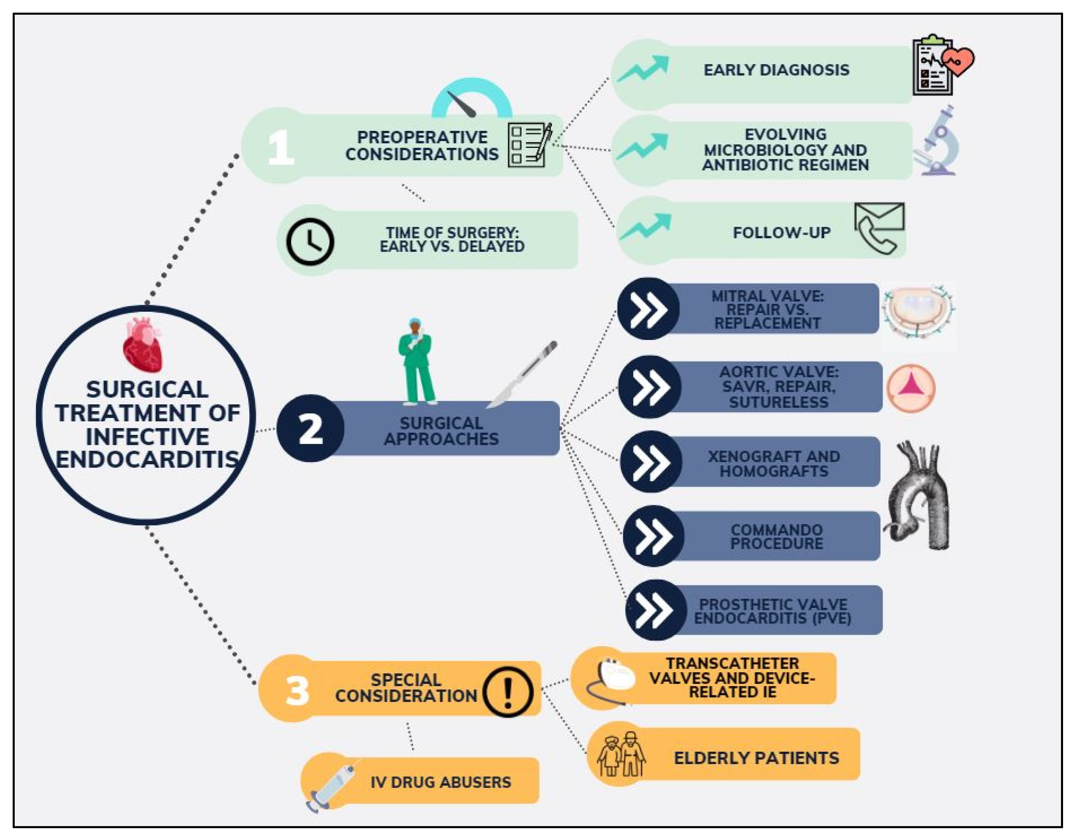 Diagnostics 14 00464 g001