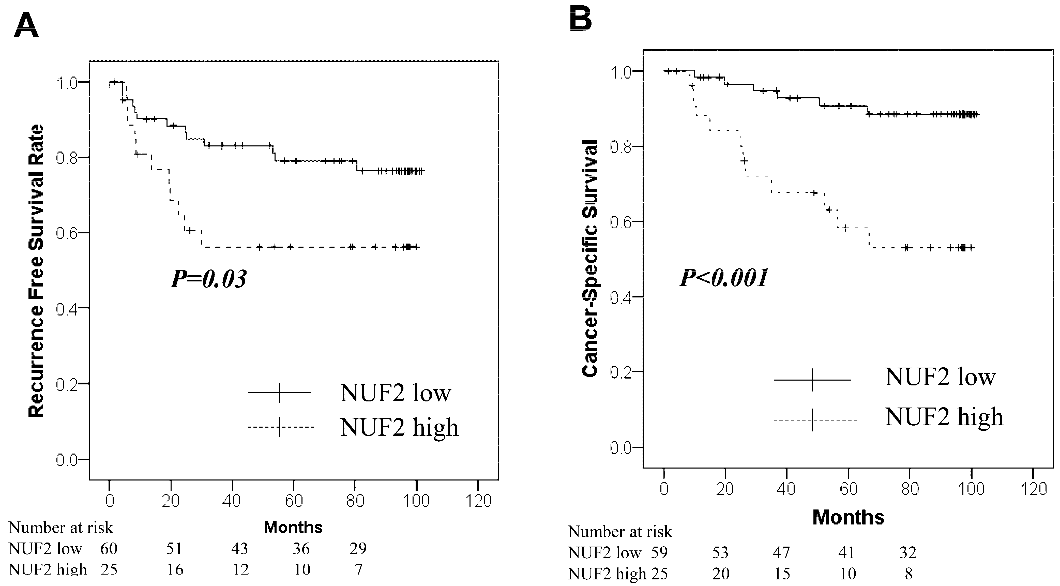Diagnostics 14 00471 g002