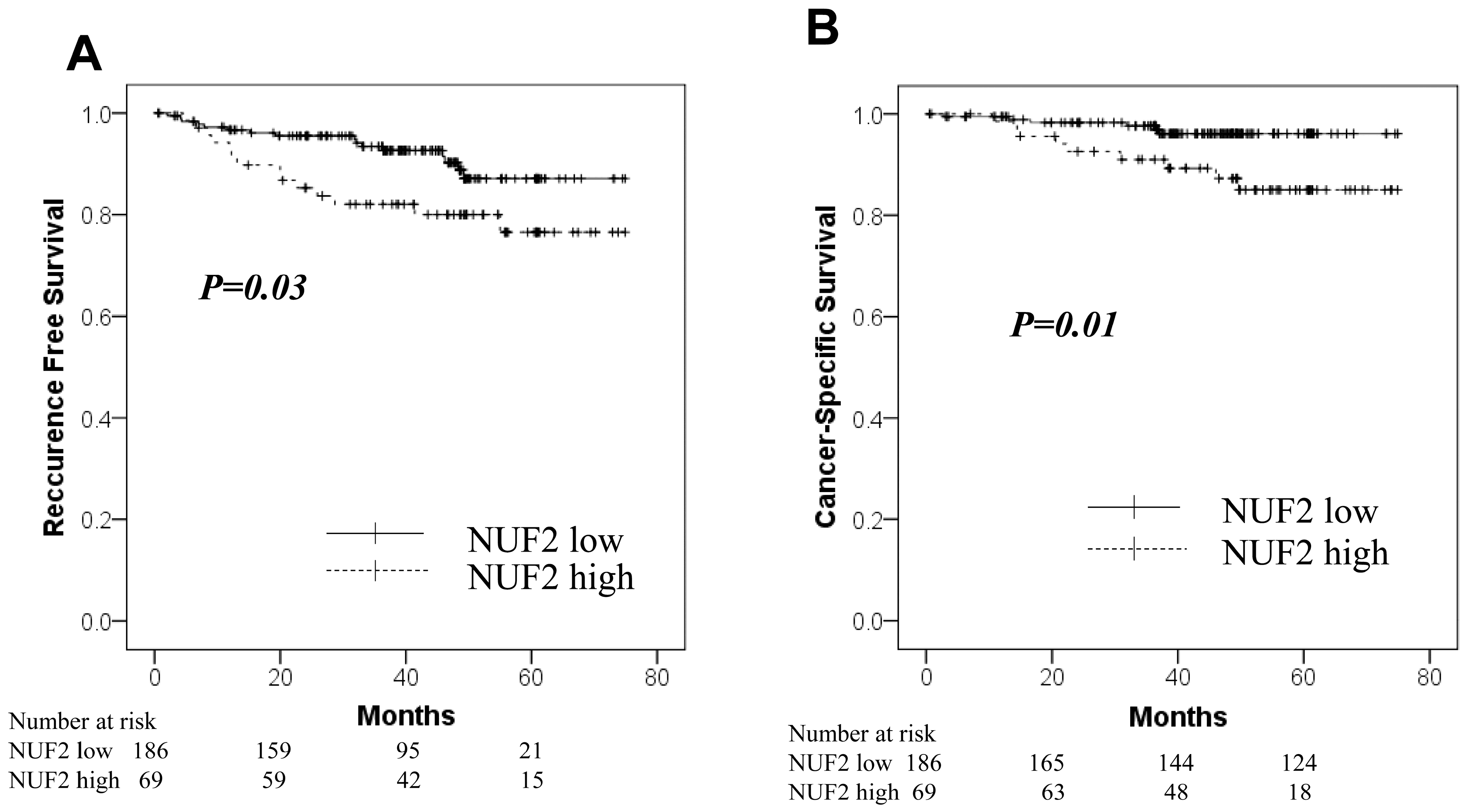 Diagnostics 14 00471 g003