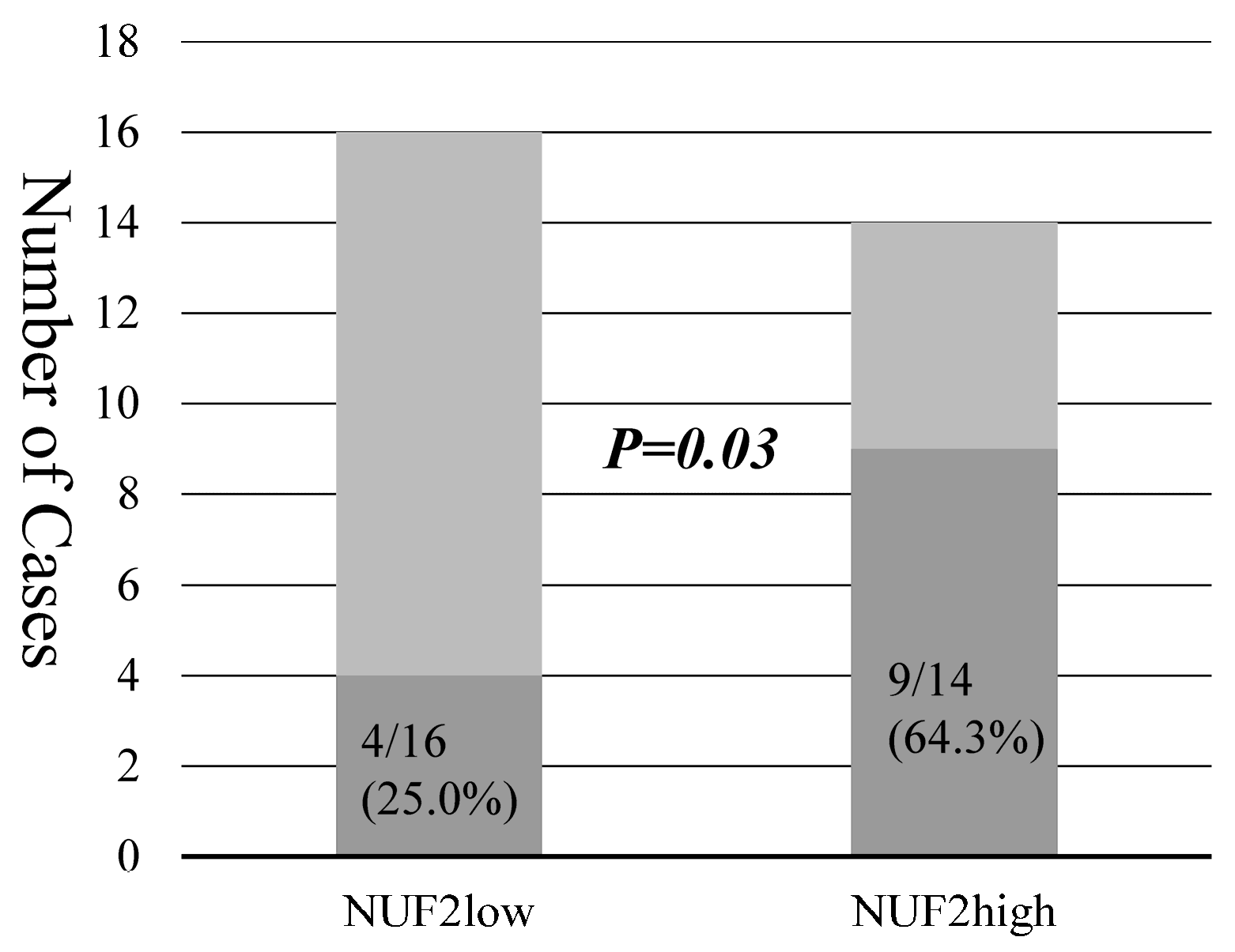 Diagnostics 14 00471 g004
