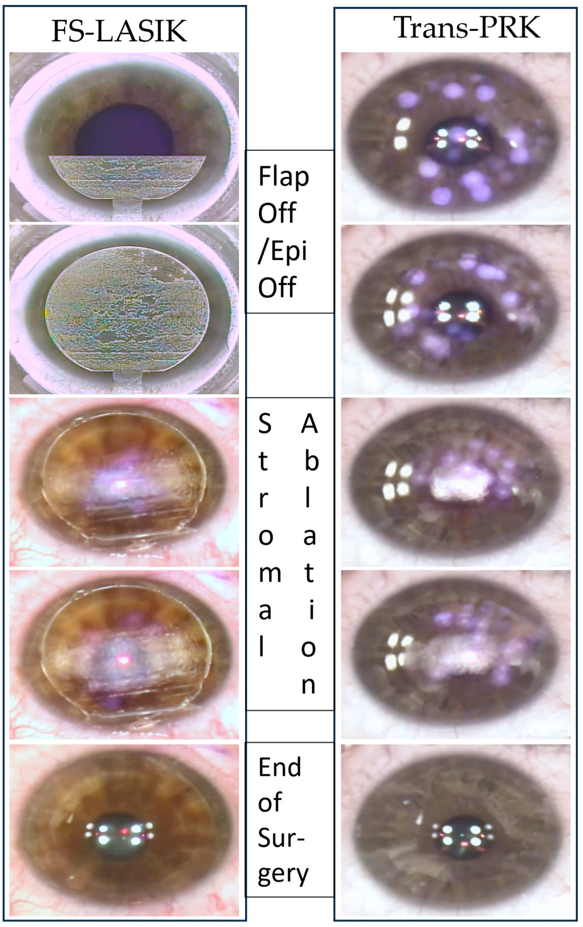 Diagnostics 14 00481 g001