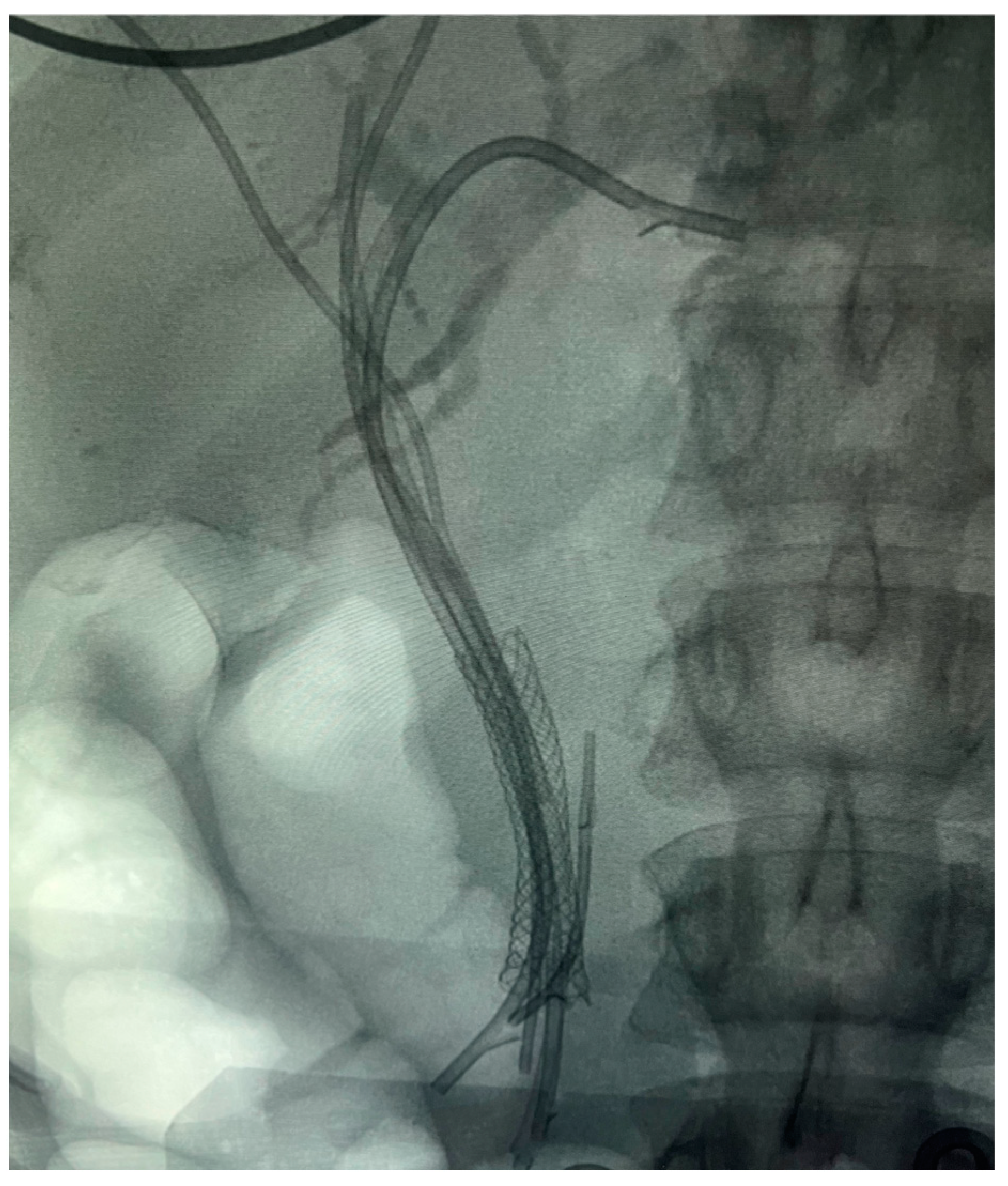 Diagnostics 14 00490 g006