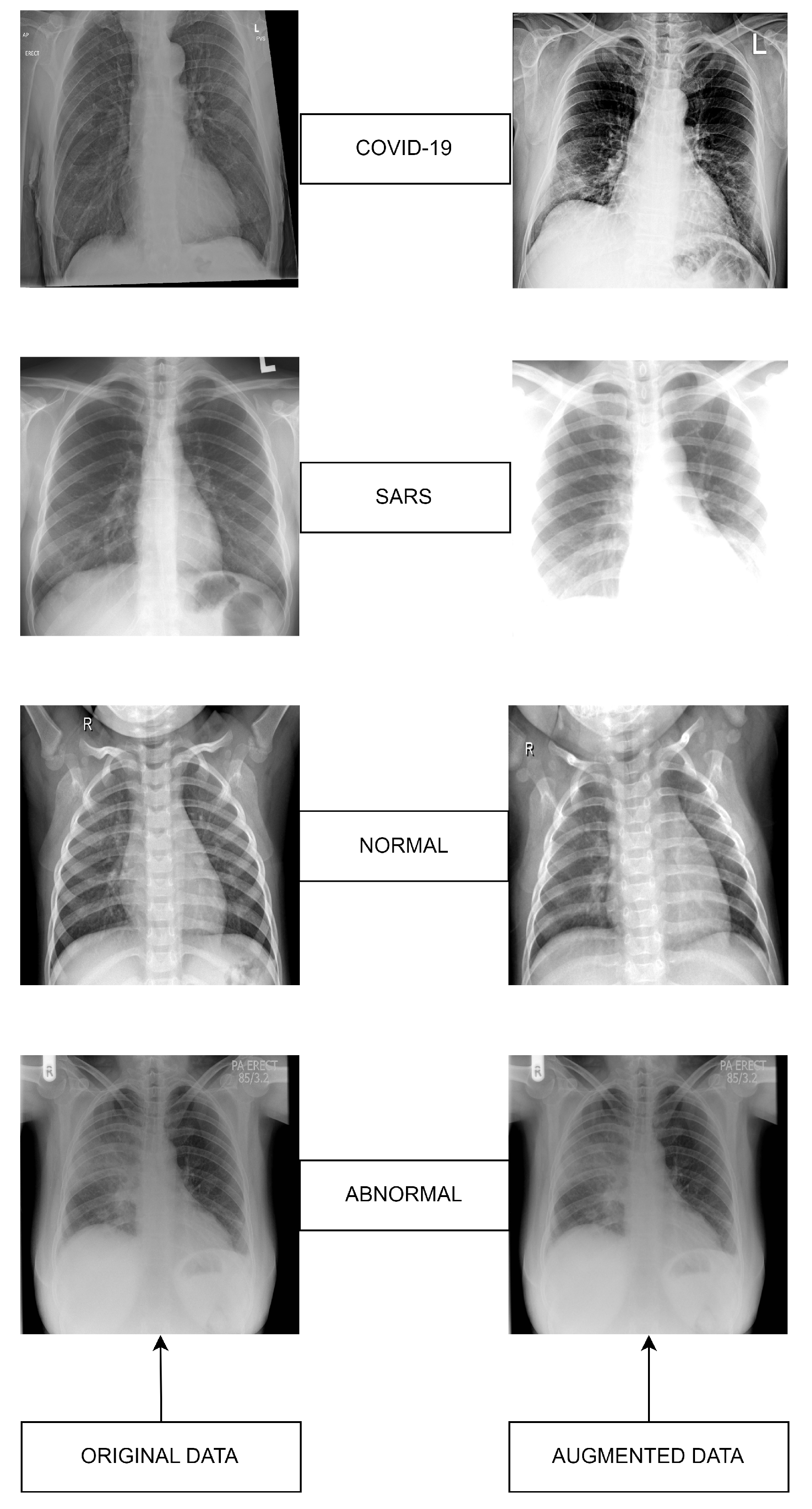 Diagnostics 14 00500 g002