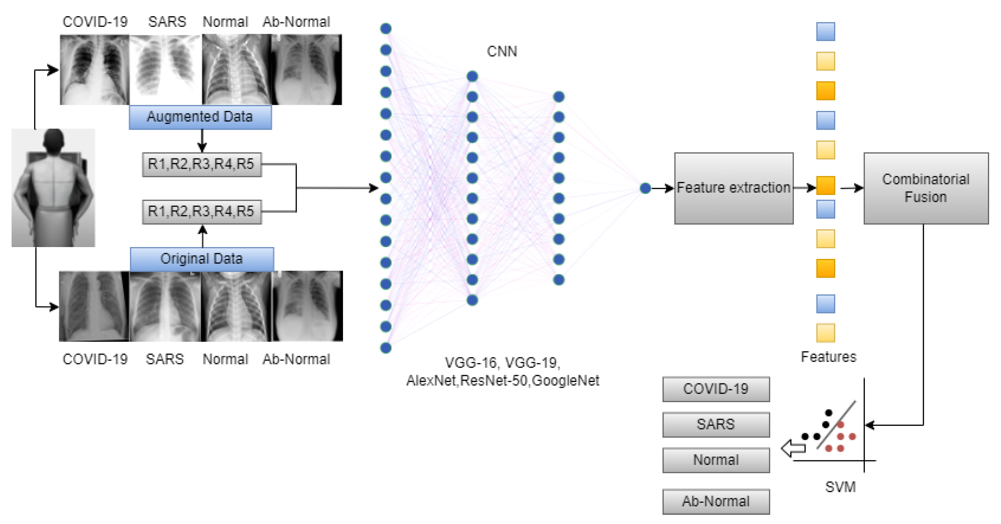 Diagnostics 14 00500 g003