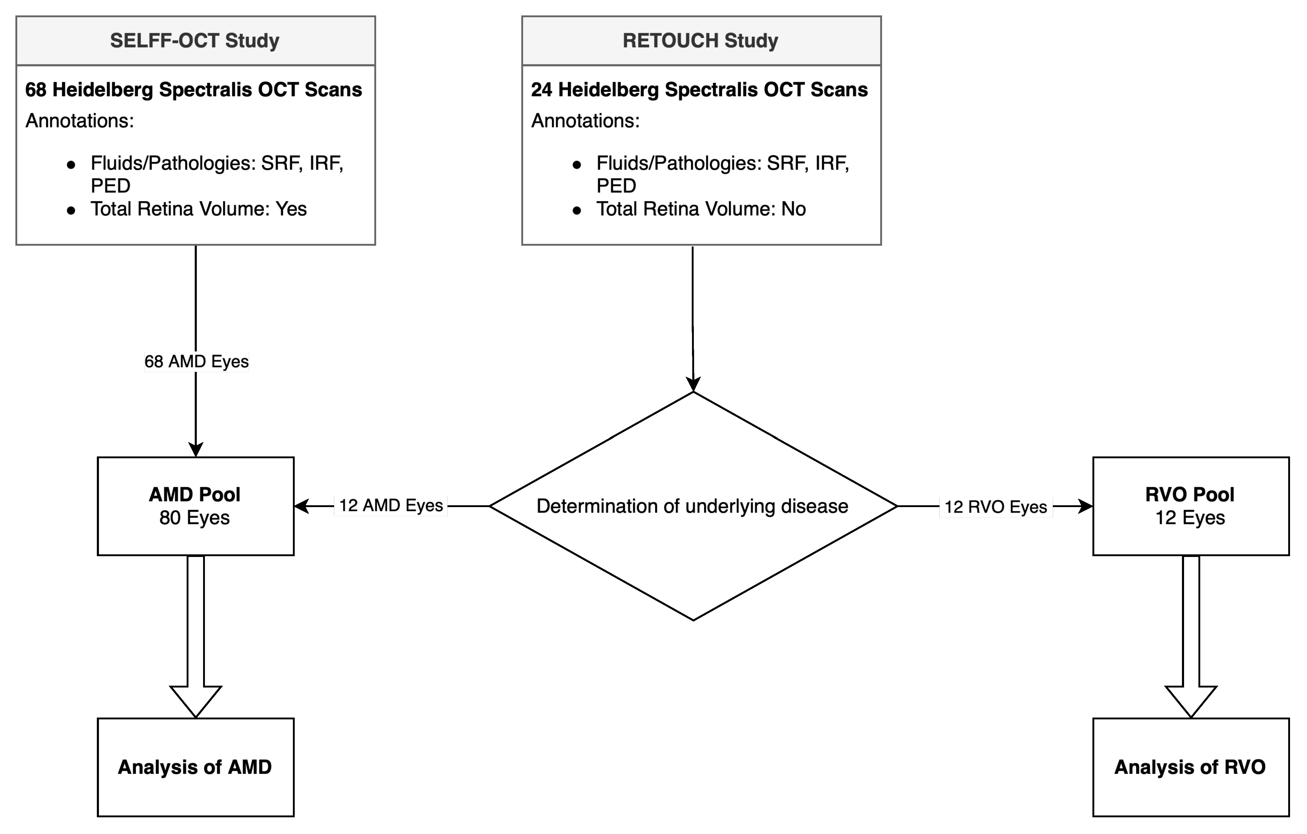 Diagnostics 14 00516 g001