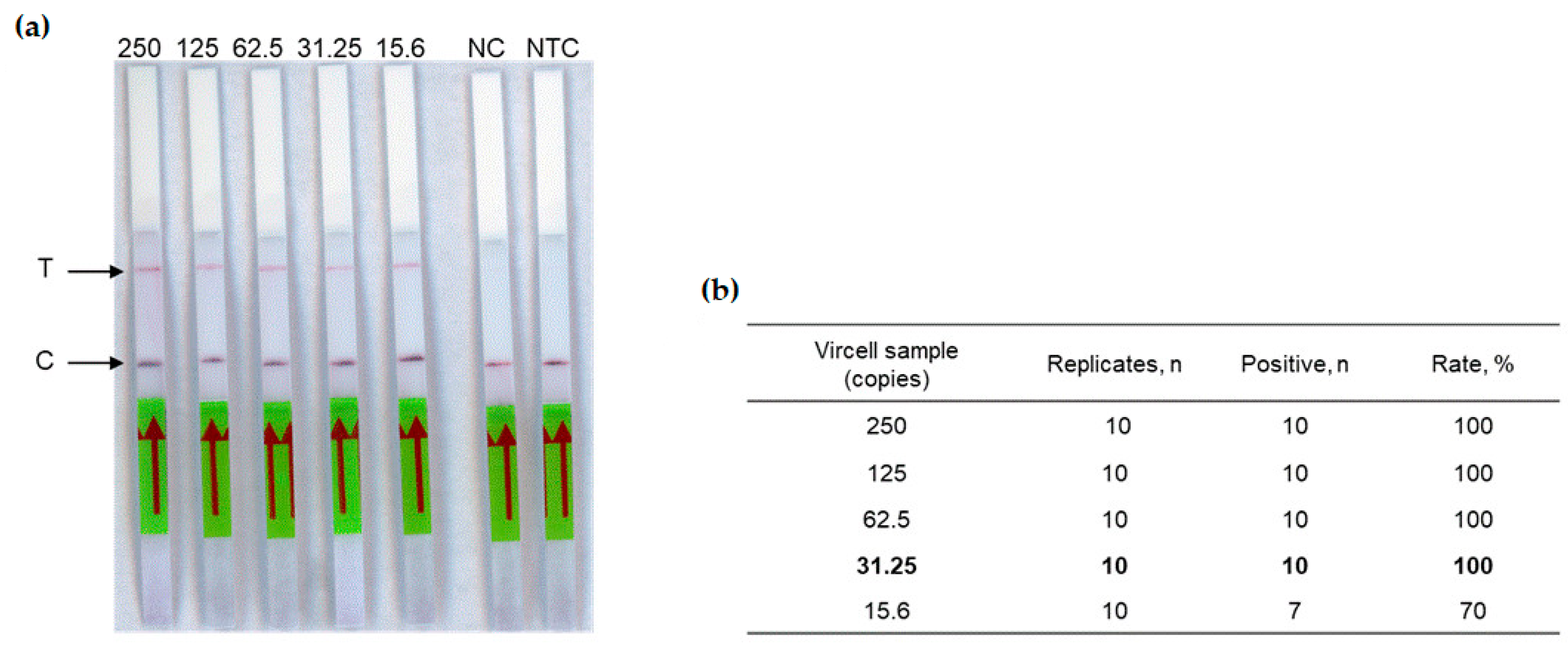 Diagnostics 14 00517 g003