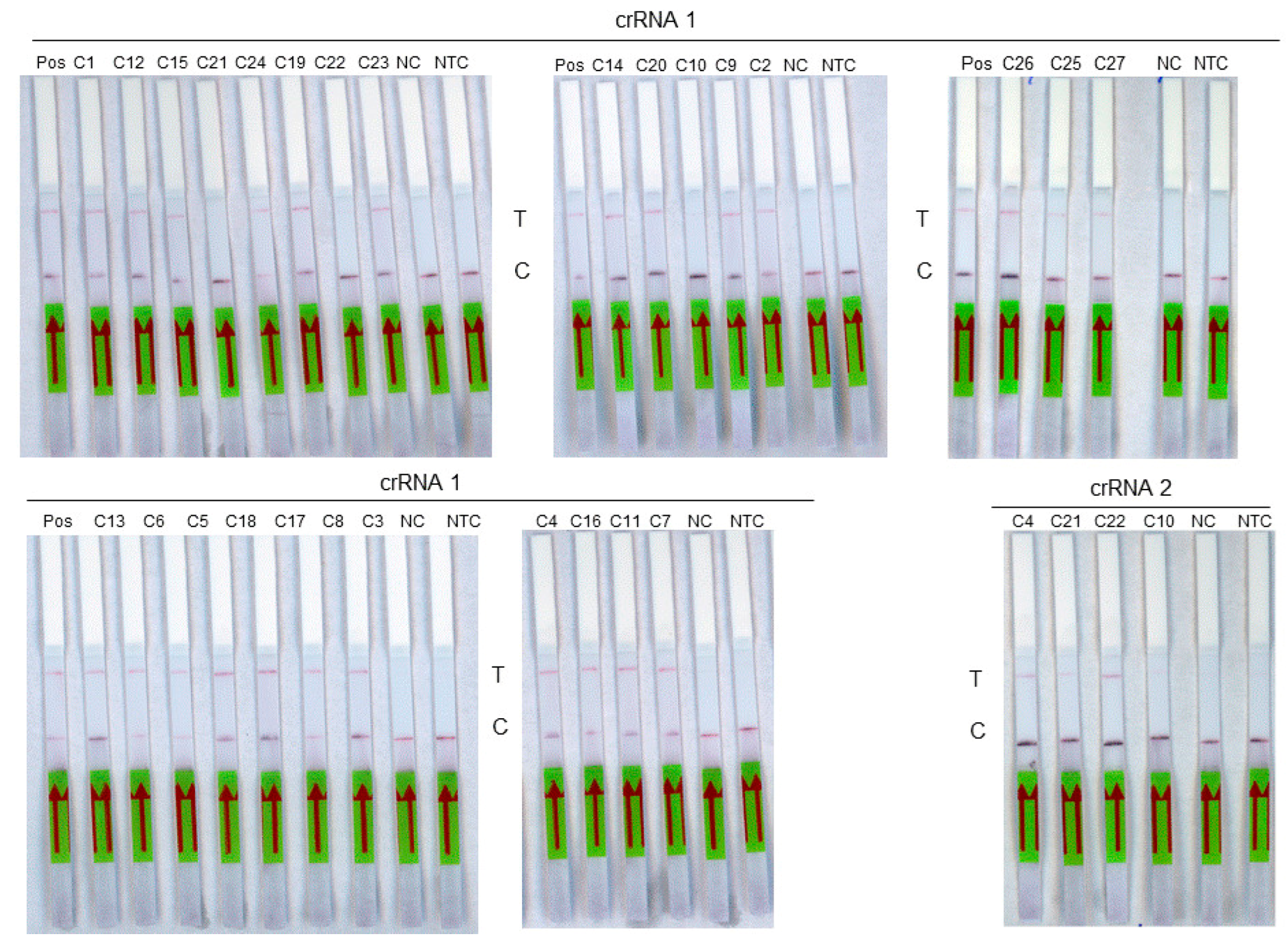 Diagnostics 14 00517 g004