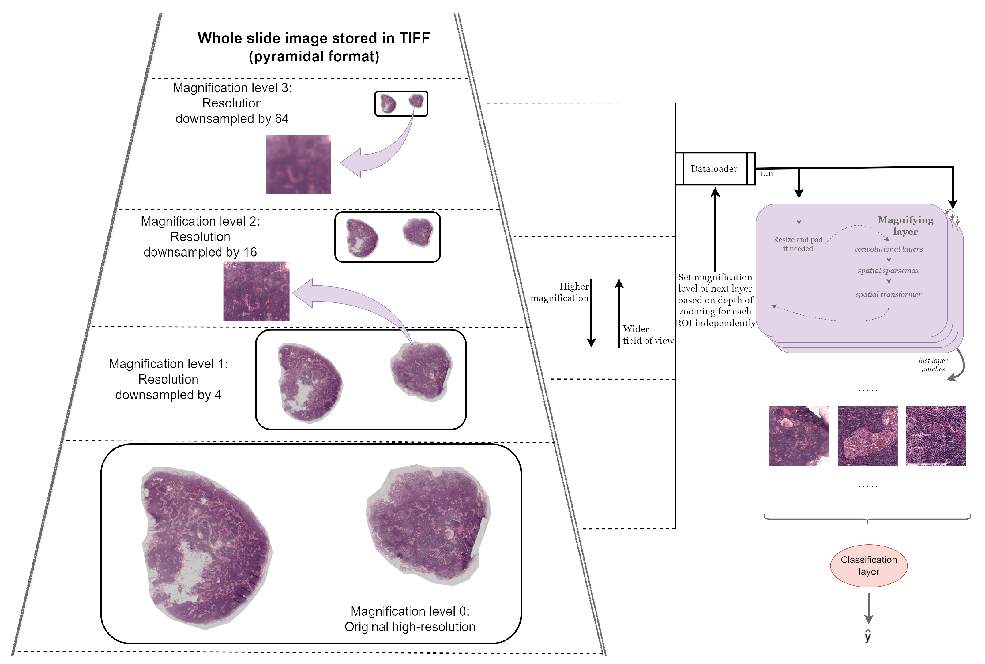 Diagnostics 14 00524 g001