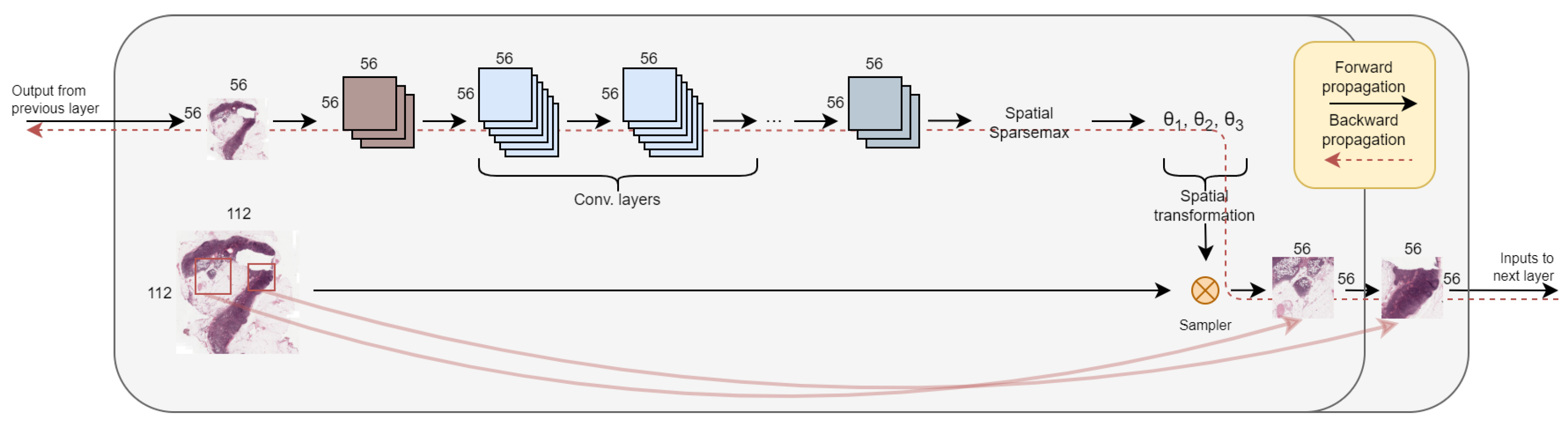 Diagnostics 14 00524 g002