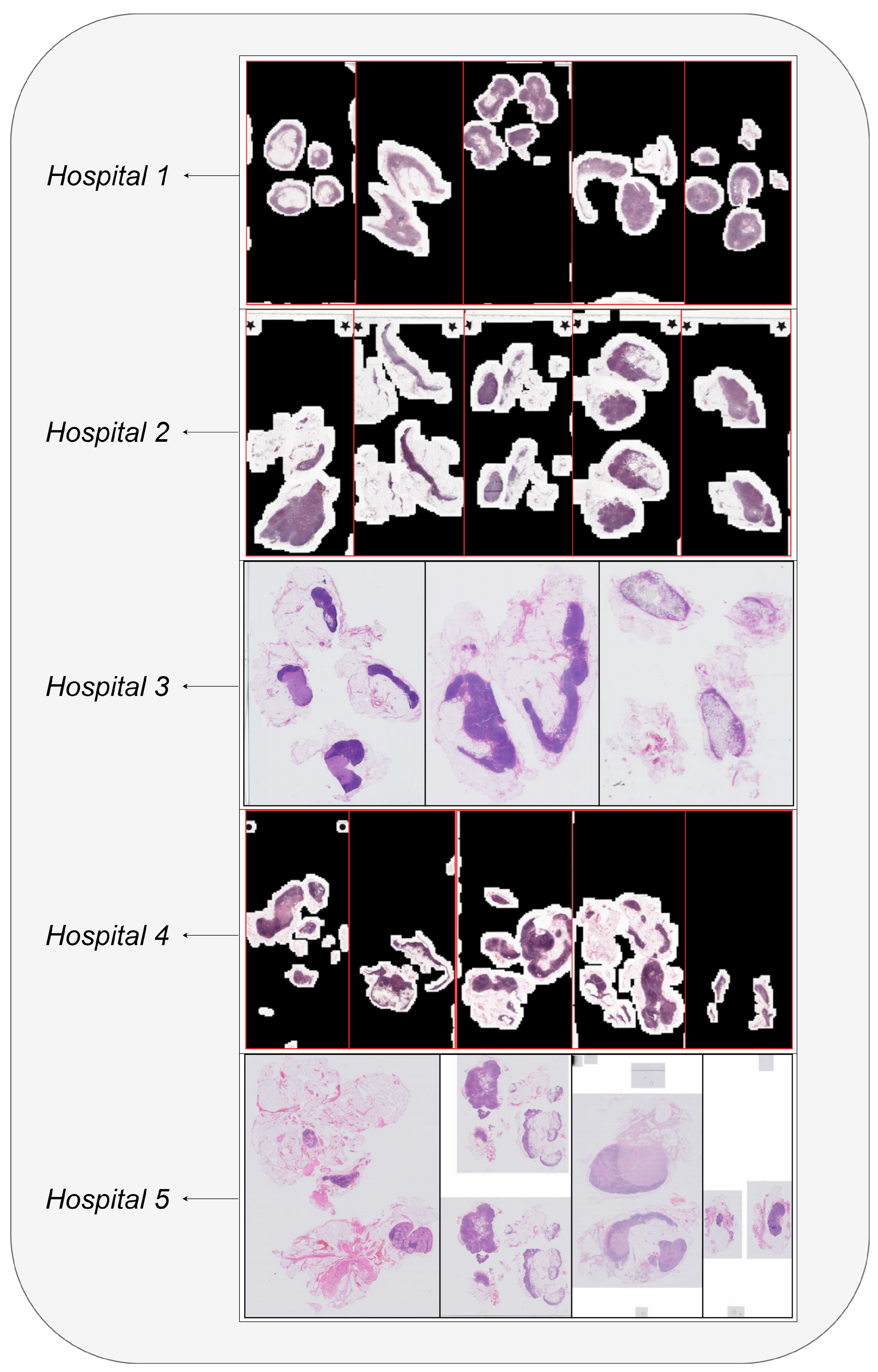 Diagnostics 14 00524 g003