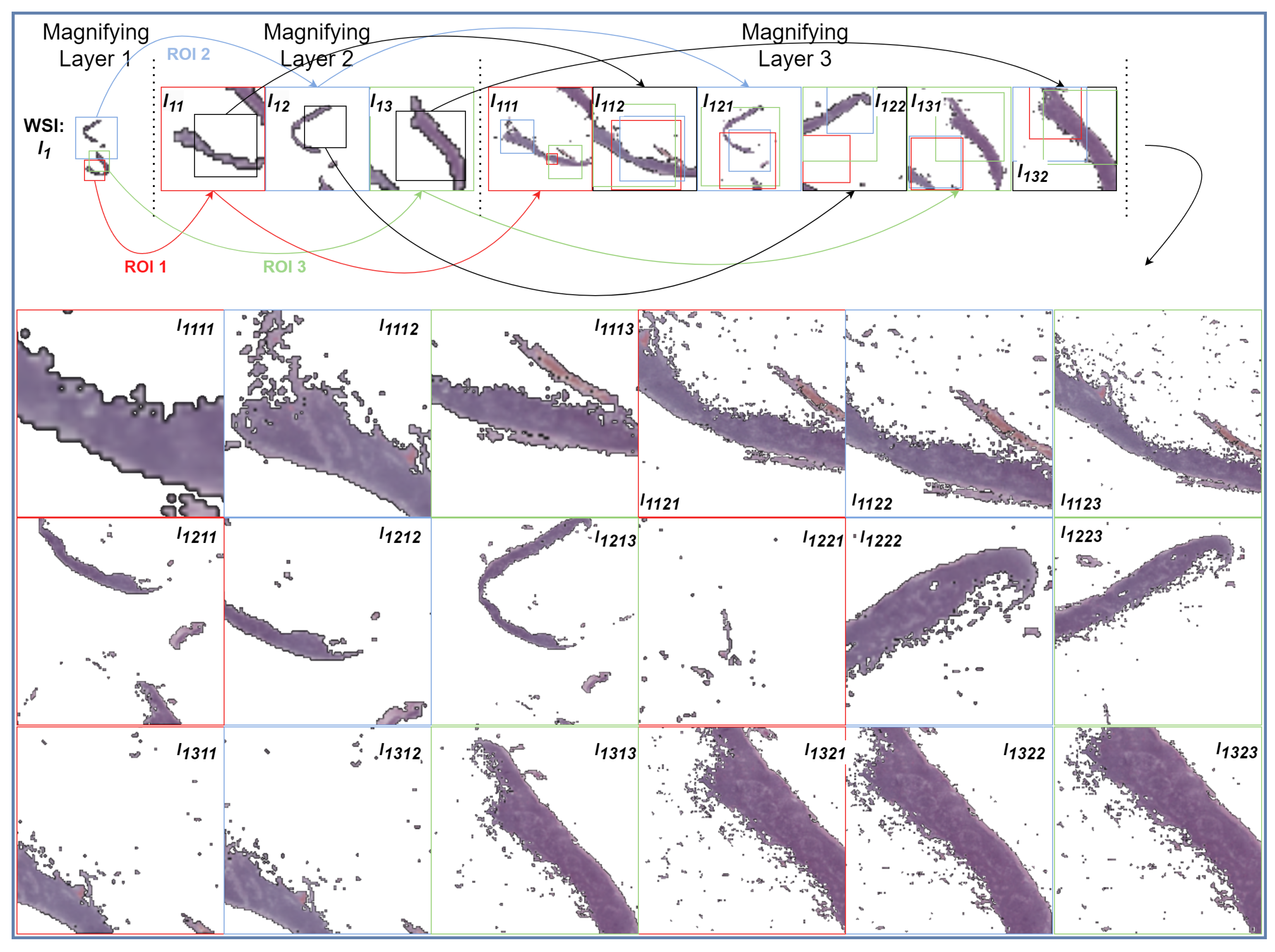 Diagnostics 14 00524 g005