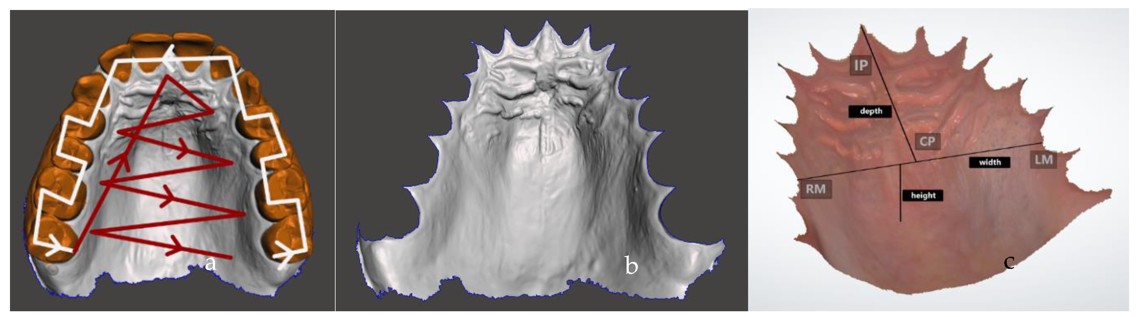 Diagnostics 14 00531 g002
