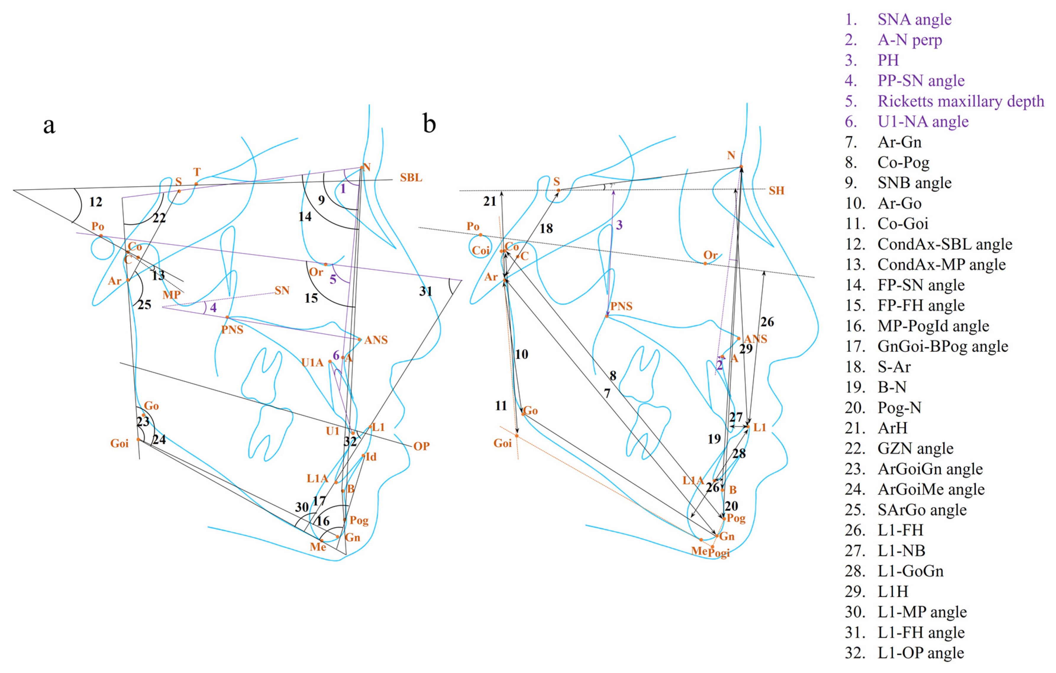 Diagnostics 14 00544 g002