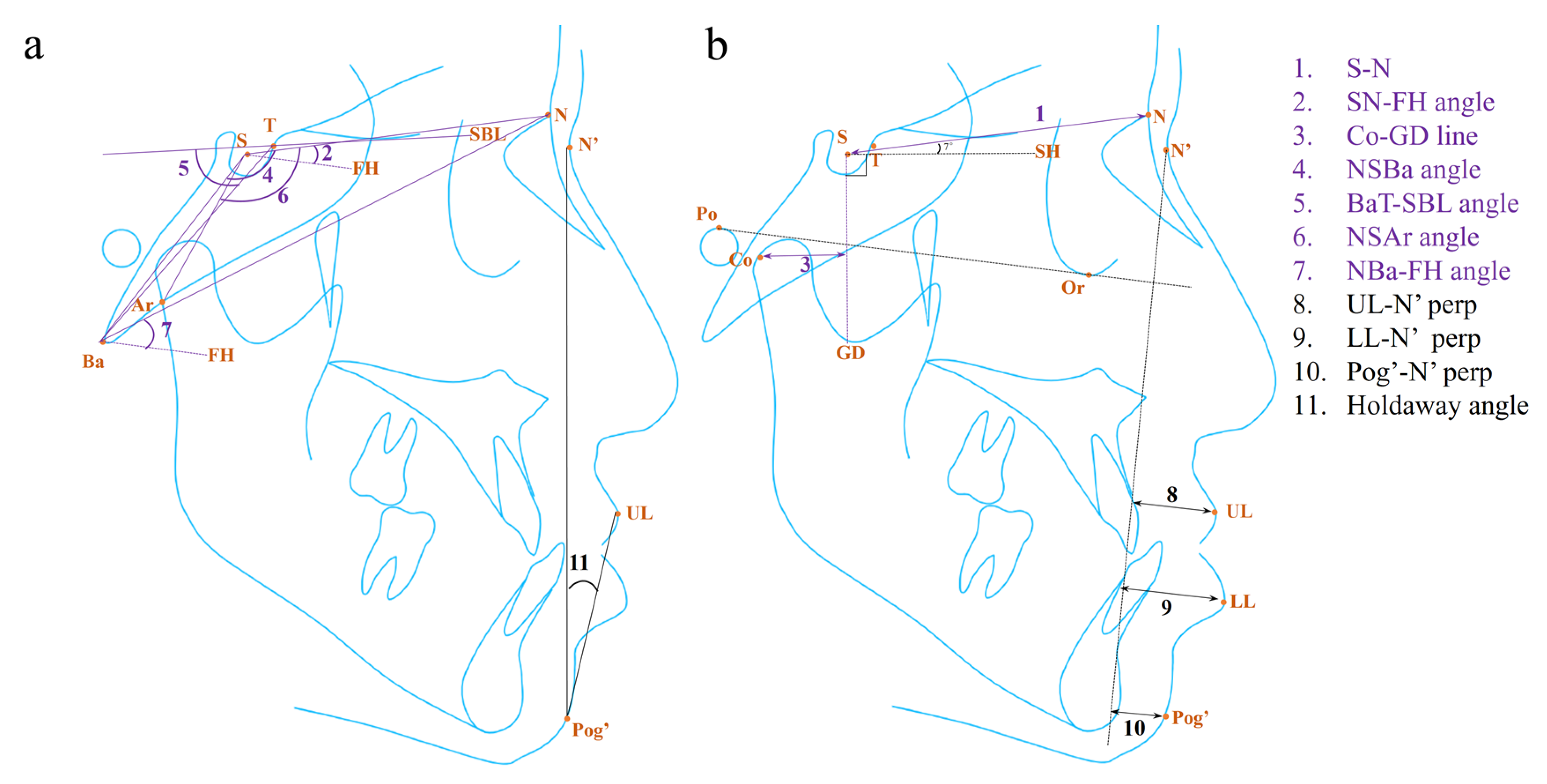 Diagnostics 14 00544 g003