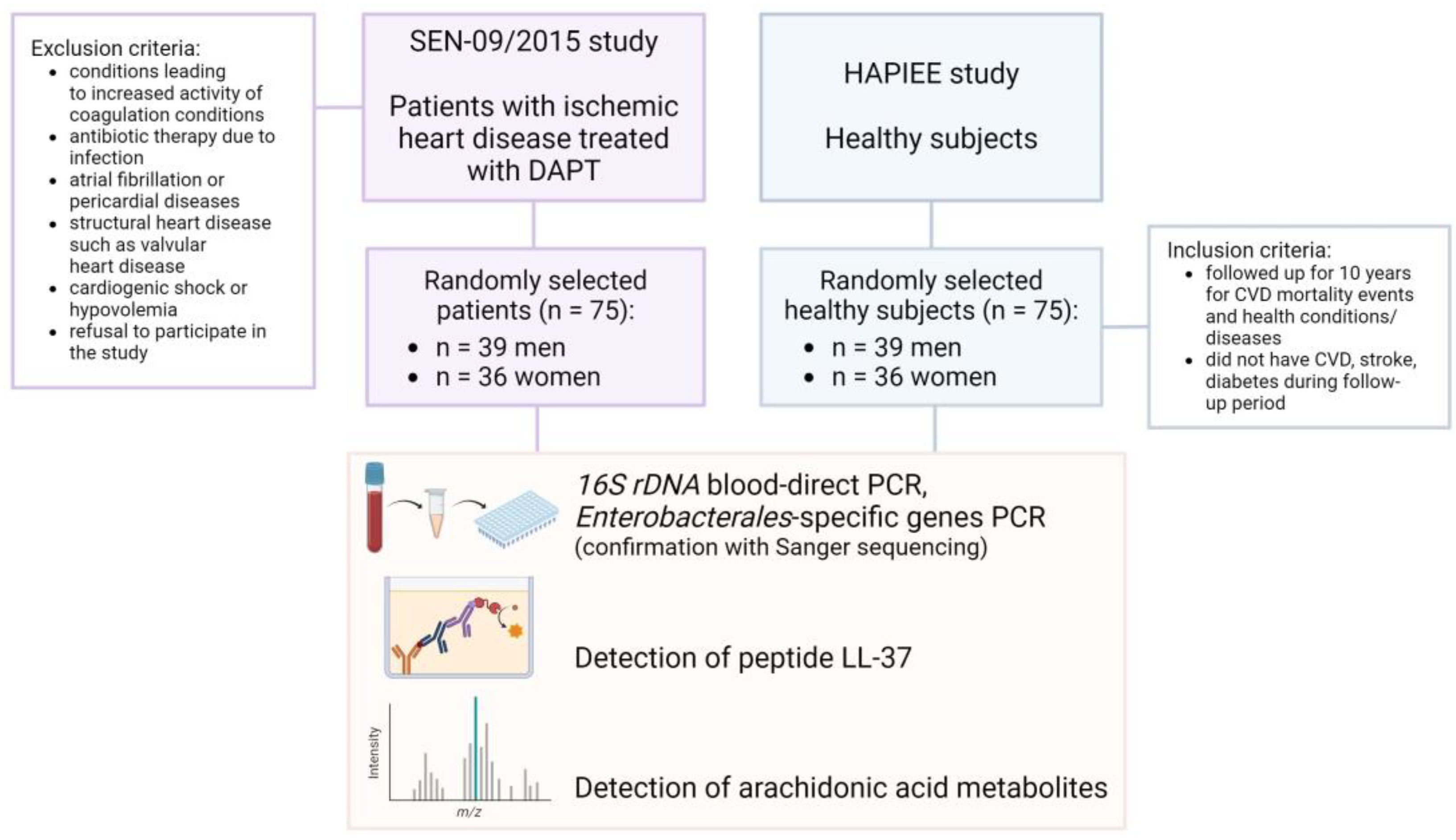 Diagnostics 14 00546 g001