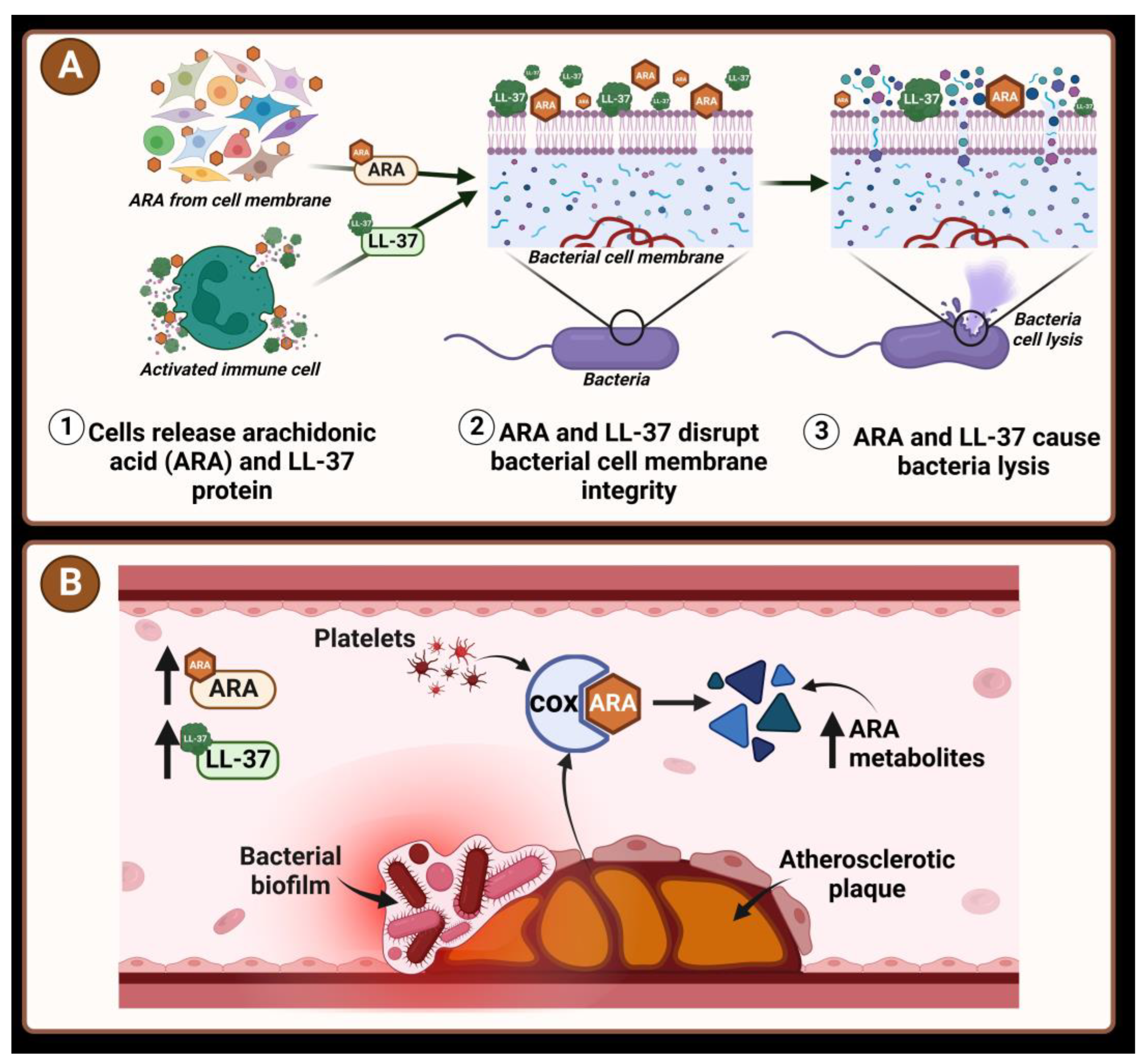 Diagnostics 14 00546 g002