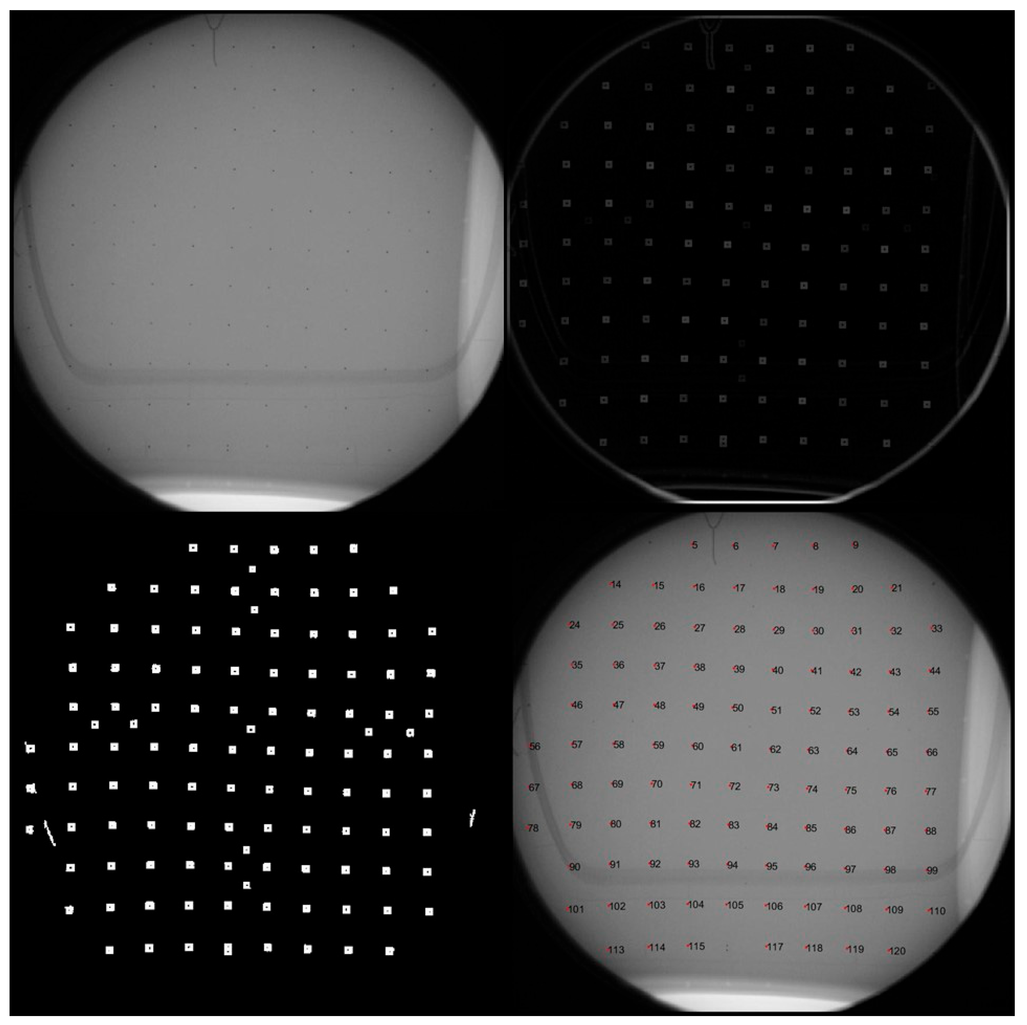 Diagnostics 14 00567 g002